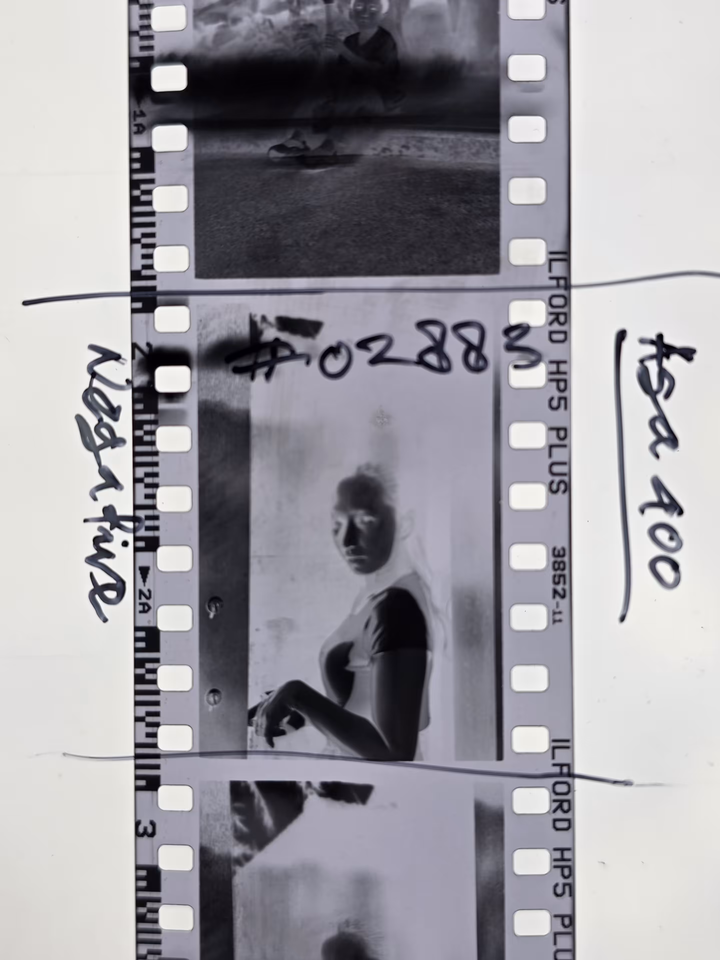 Negative asa 400 #02883