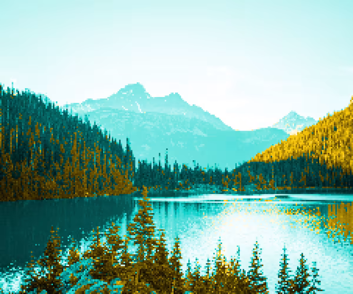 Forest #3