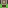 Novelty Maximizer #053