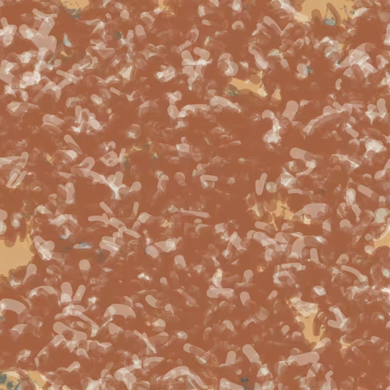Petri 1500 v2 QHD  #1148