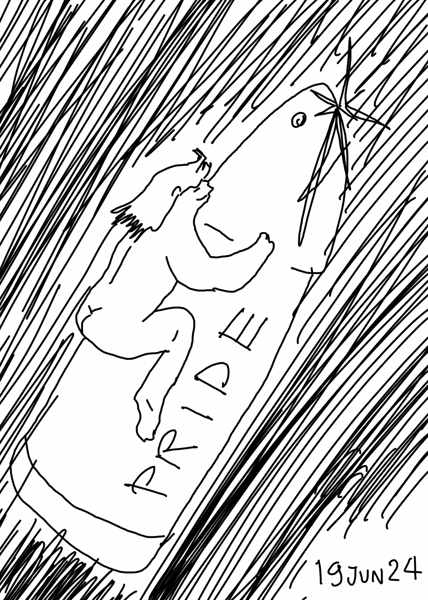 19 JUN 24