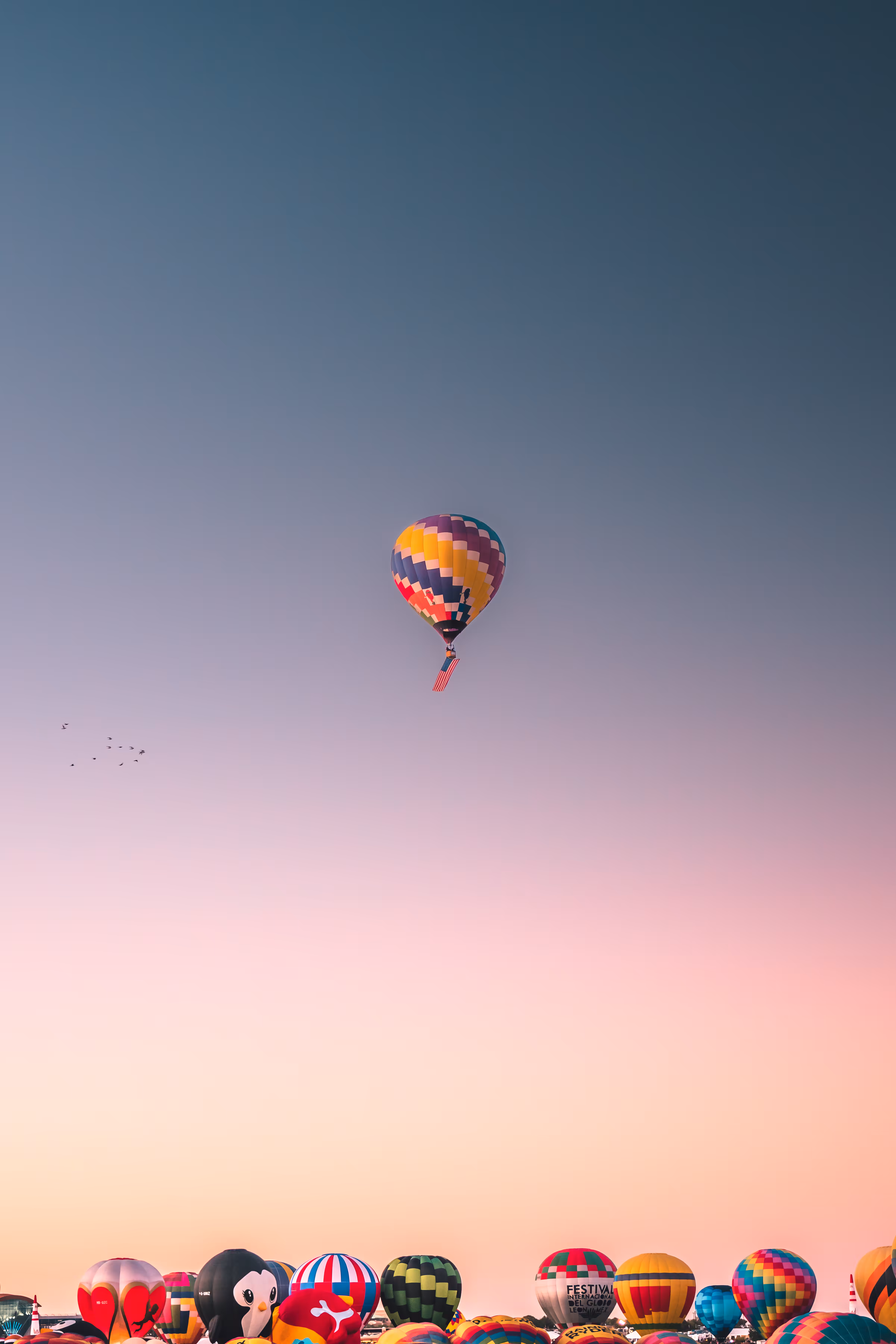 The Balloon Fiesta : 001