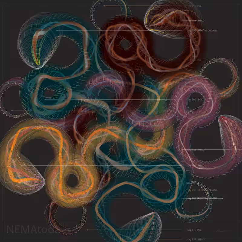 NEMA #67