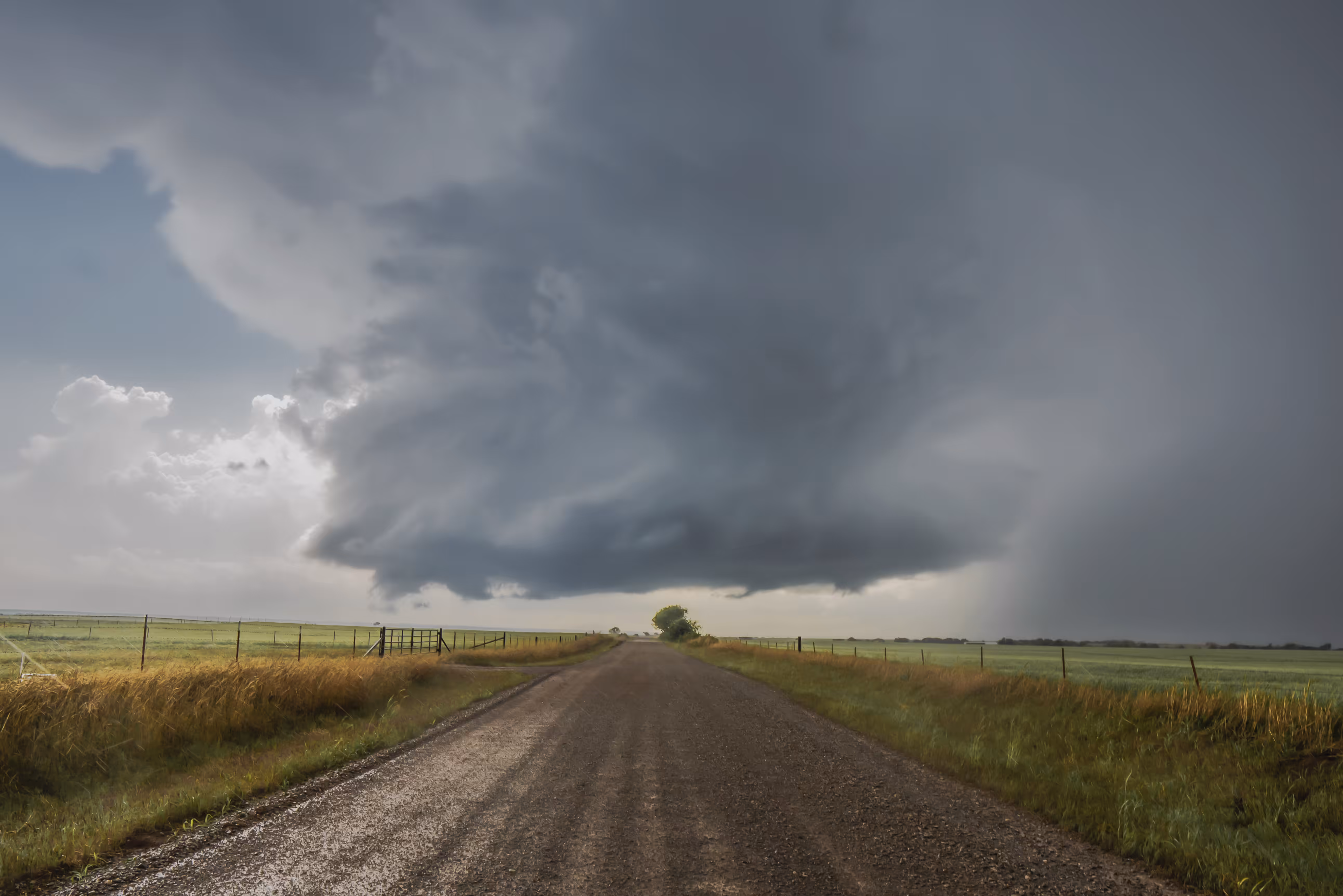 Into The Storm 