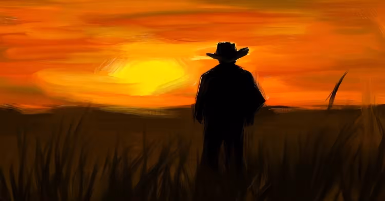 Lonely Traveler