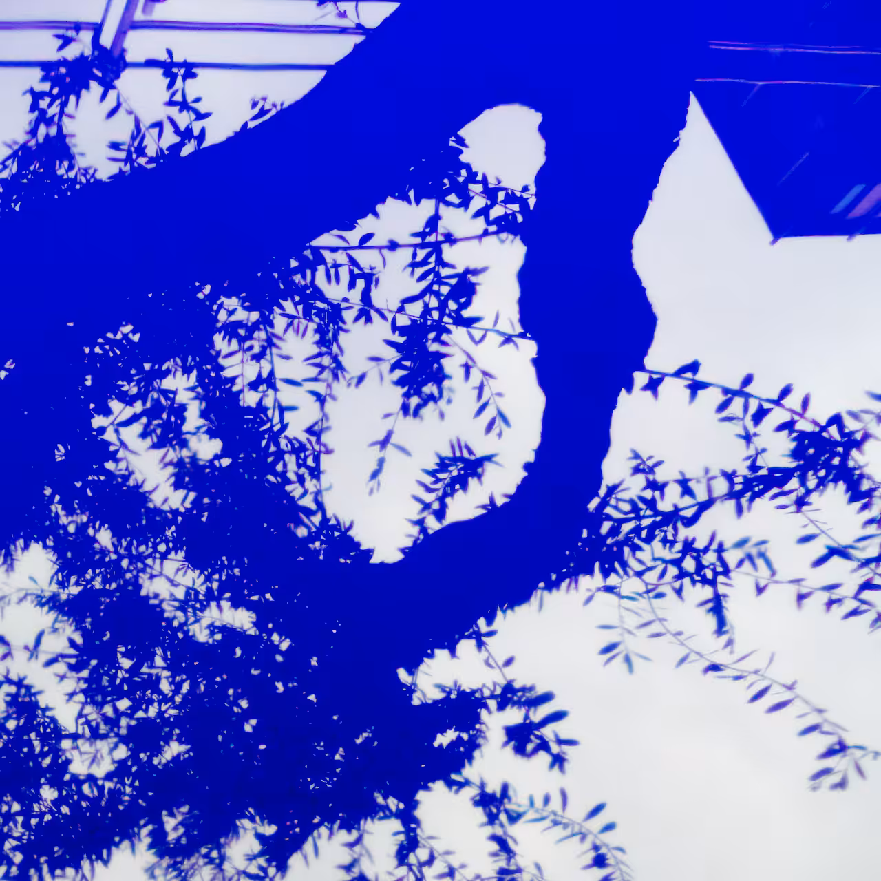 Mind of blue