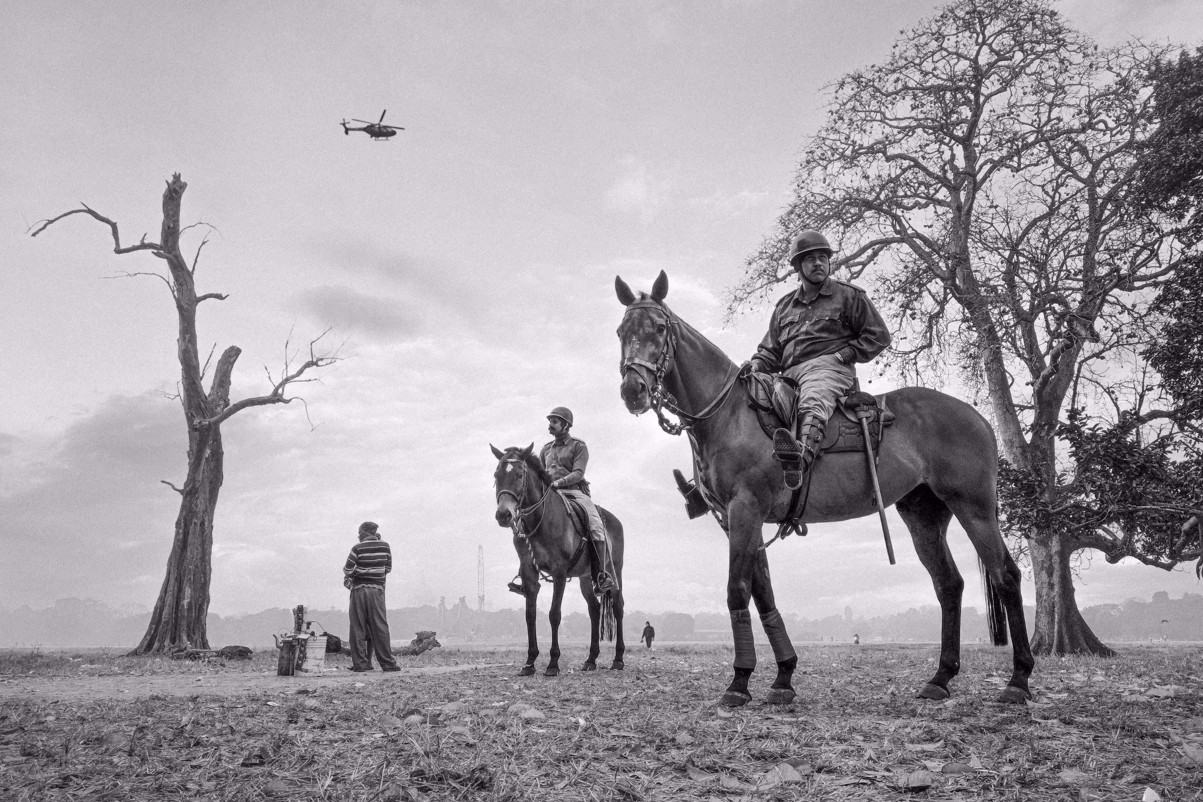 Of Horses and Men