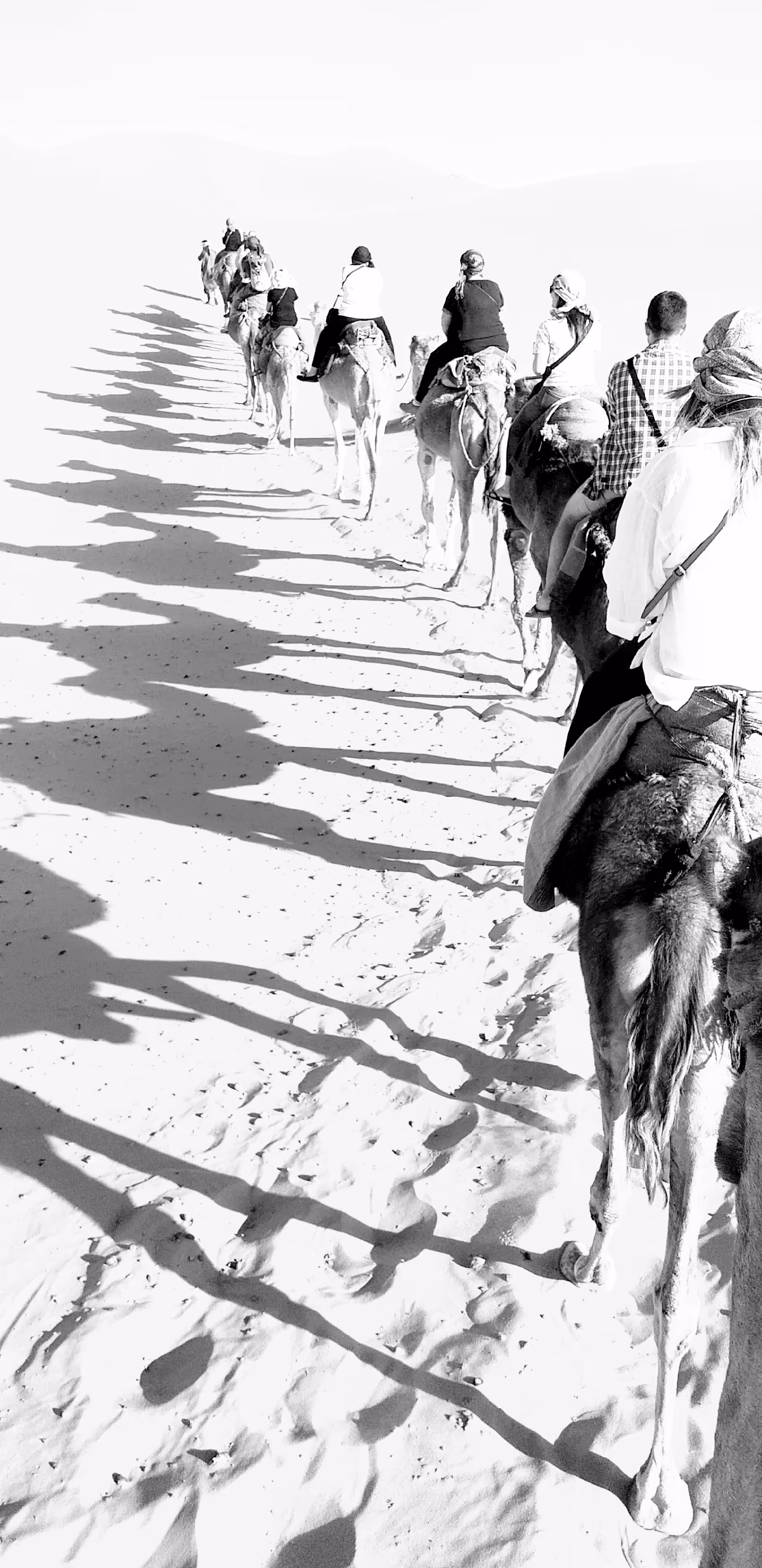 Sand Shadows