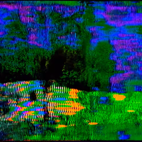 тⓡ𝐄𝐄 🌳