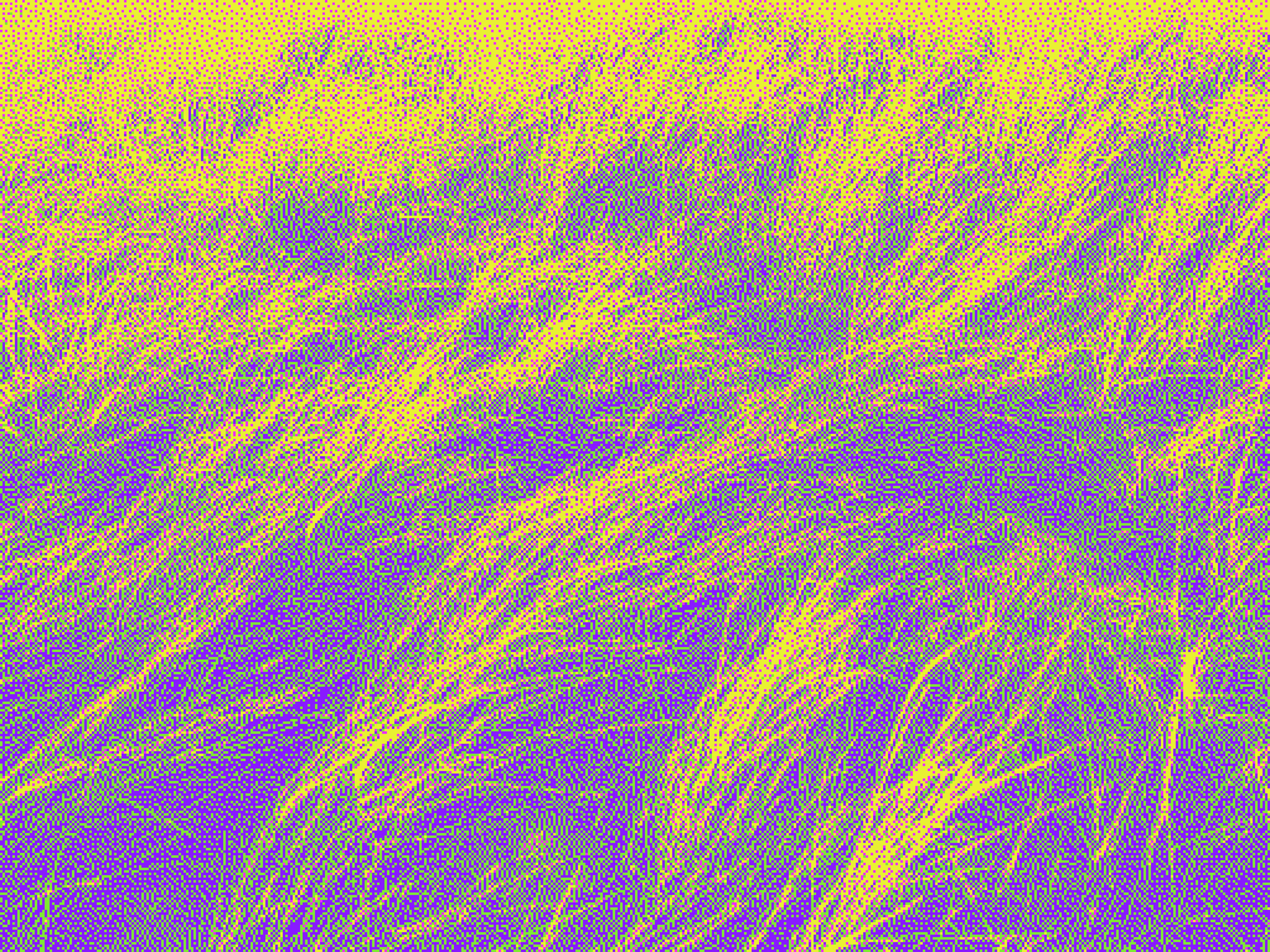 marramgrass