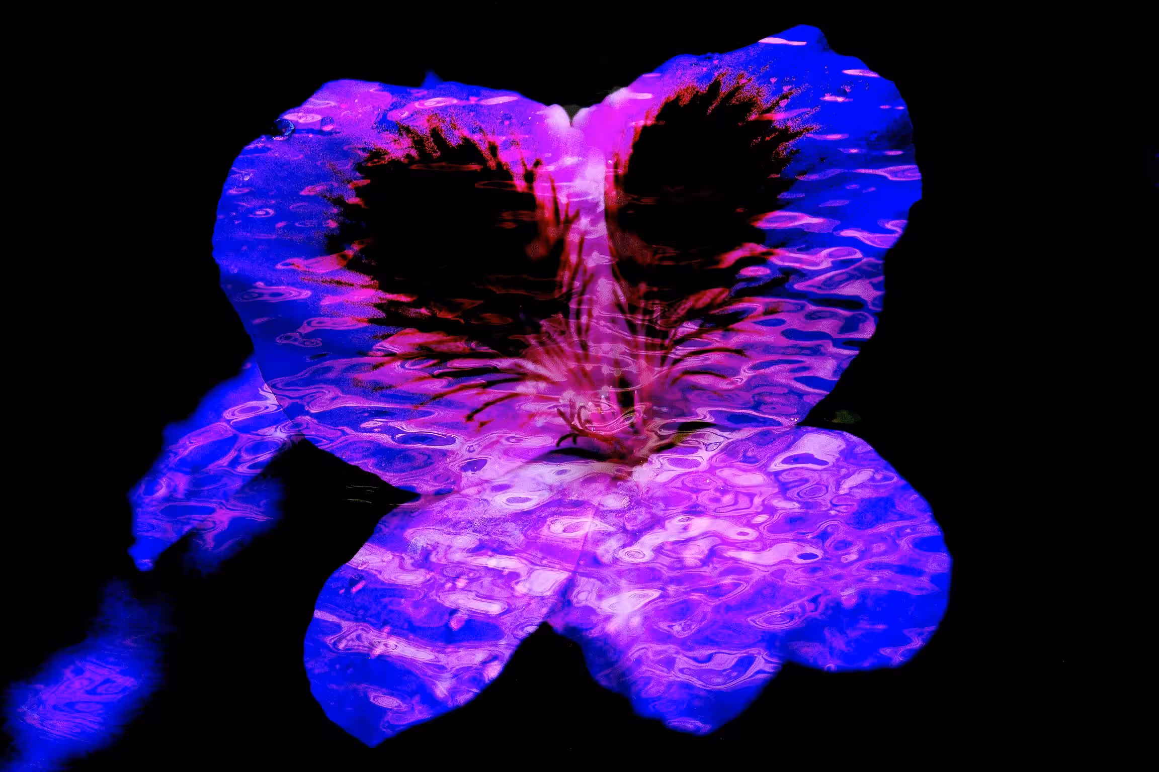 Liquid Flower