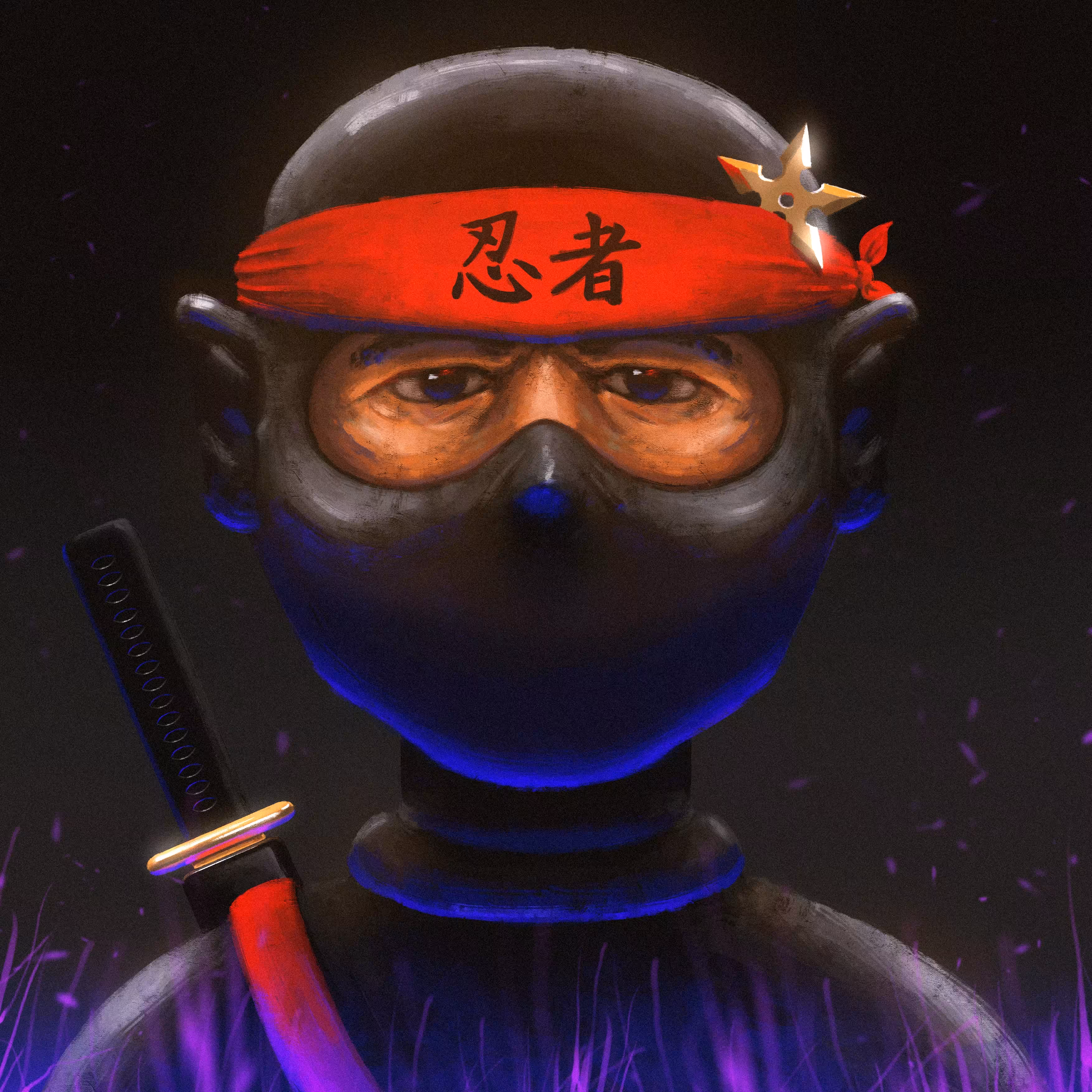 NINJA TOY FACE 