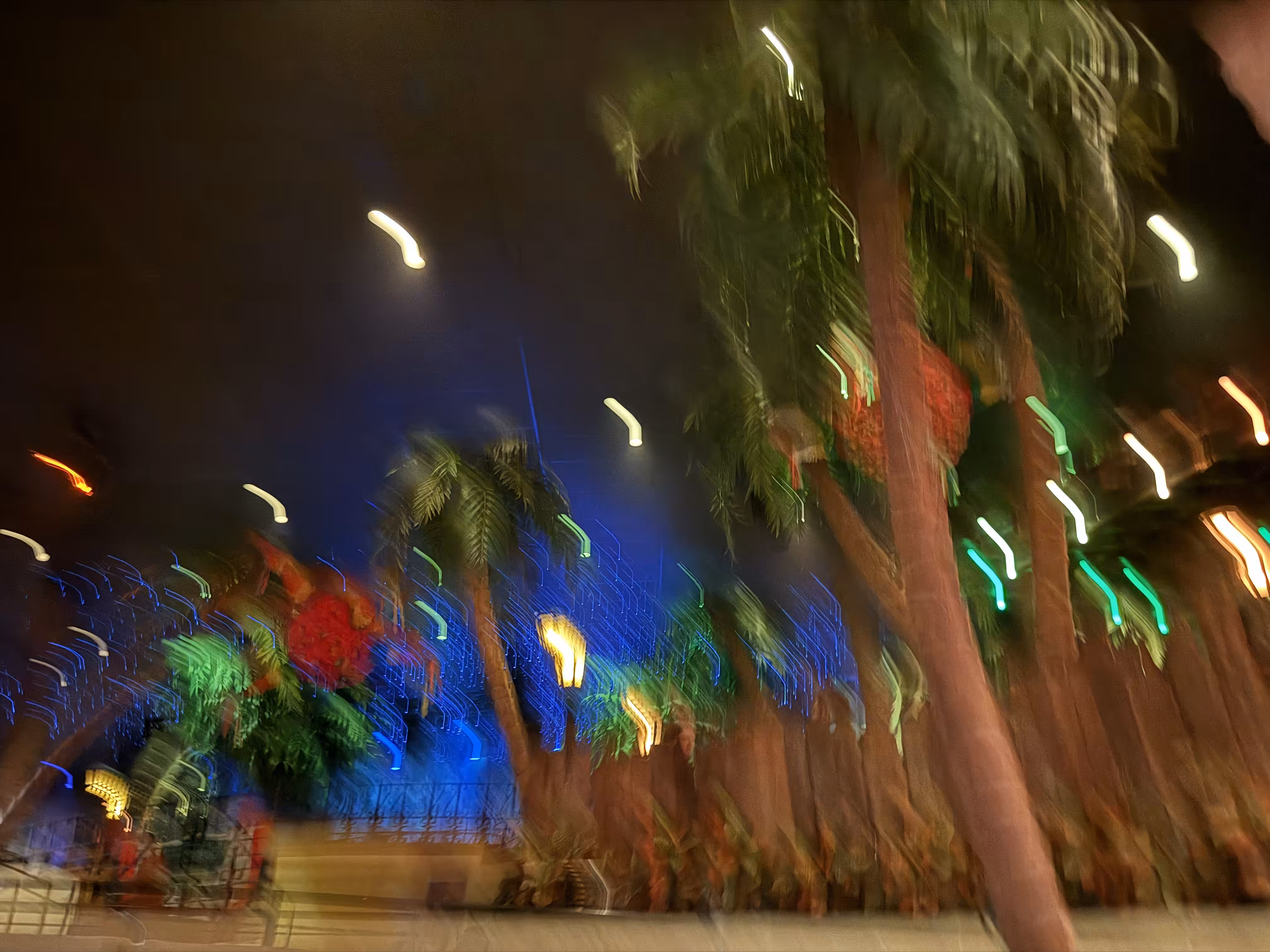 Casa Bonita Psilly Palms