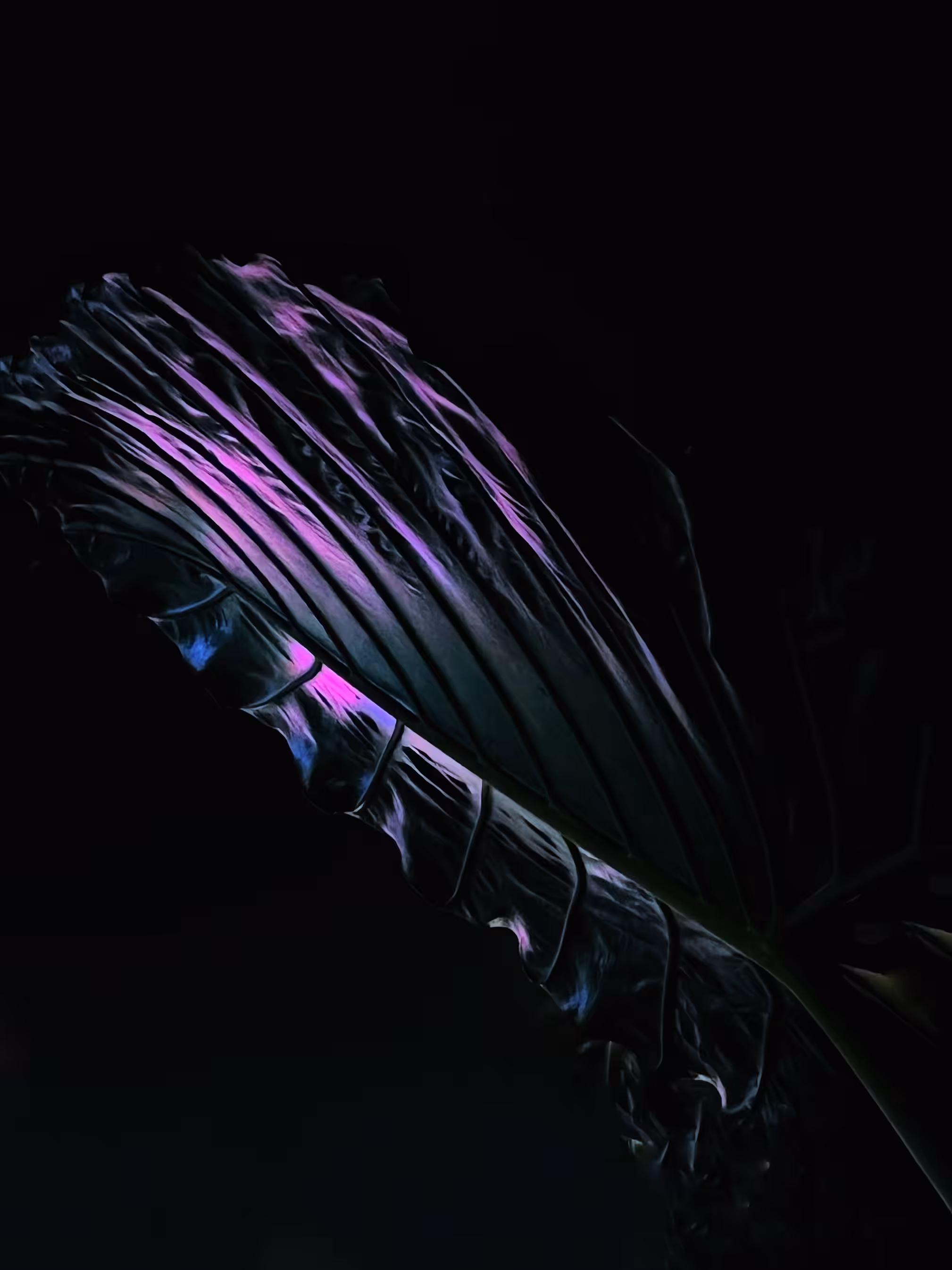 LeafLight