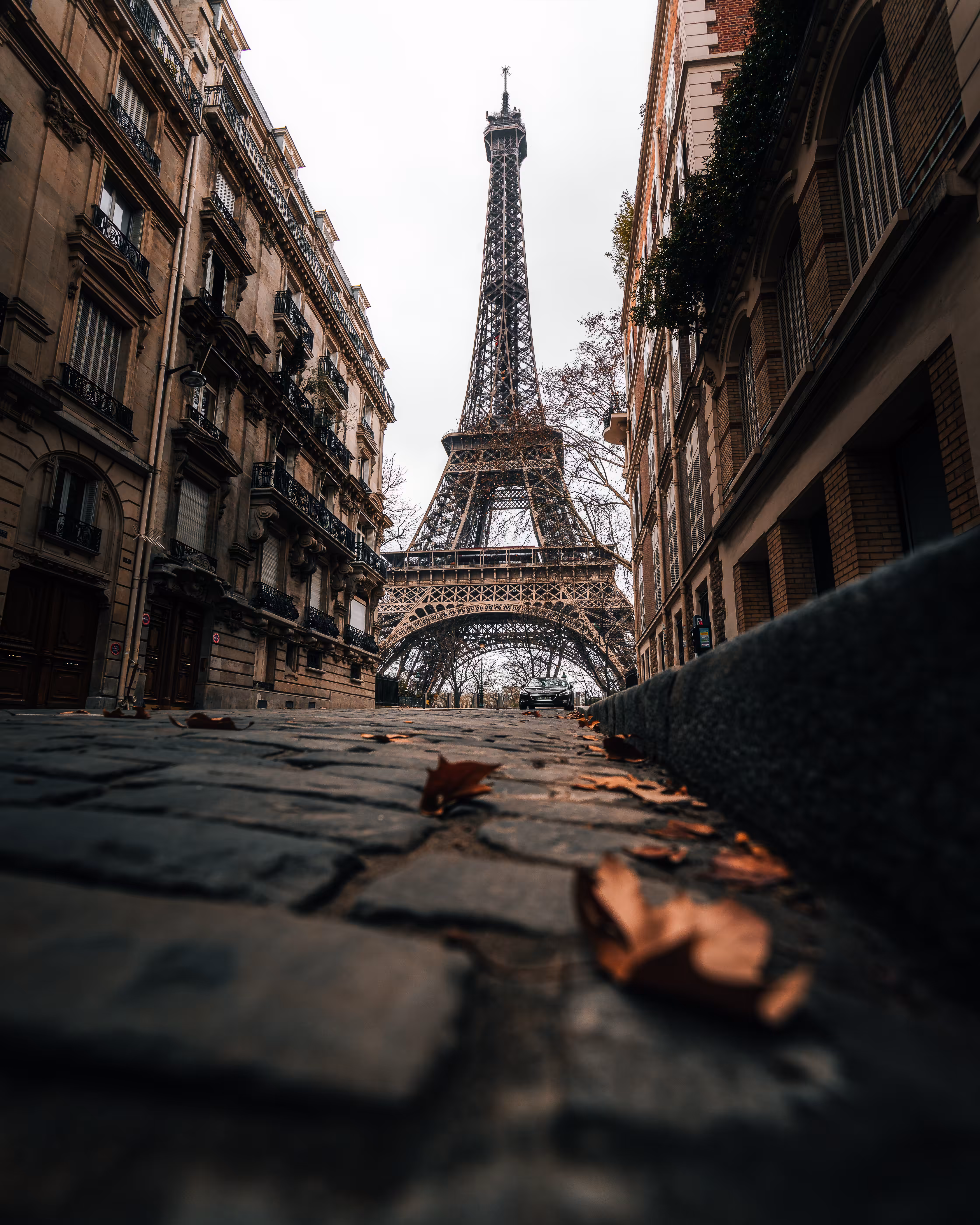 Rue de Paris