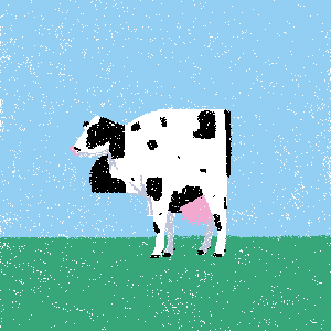 cow #1
