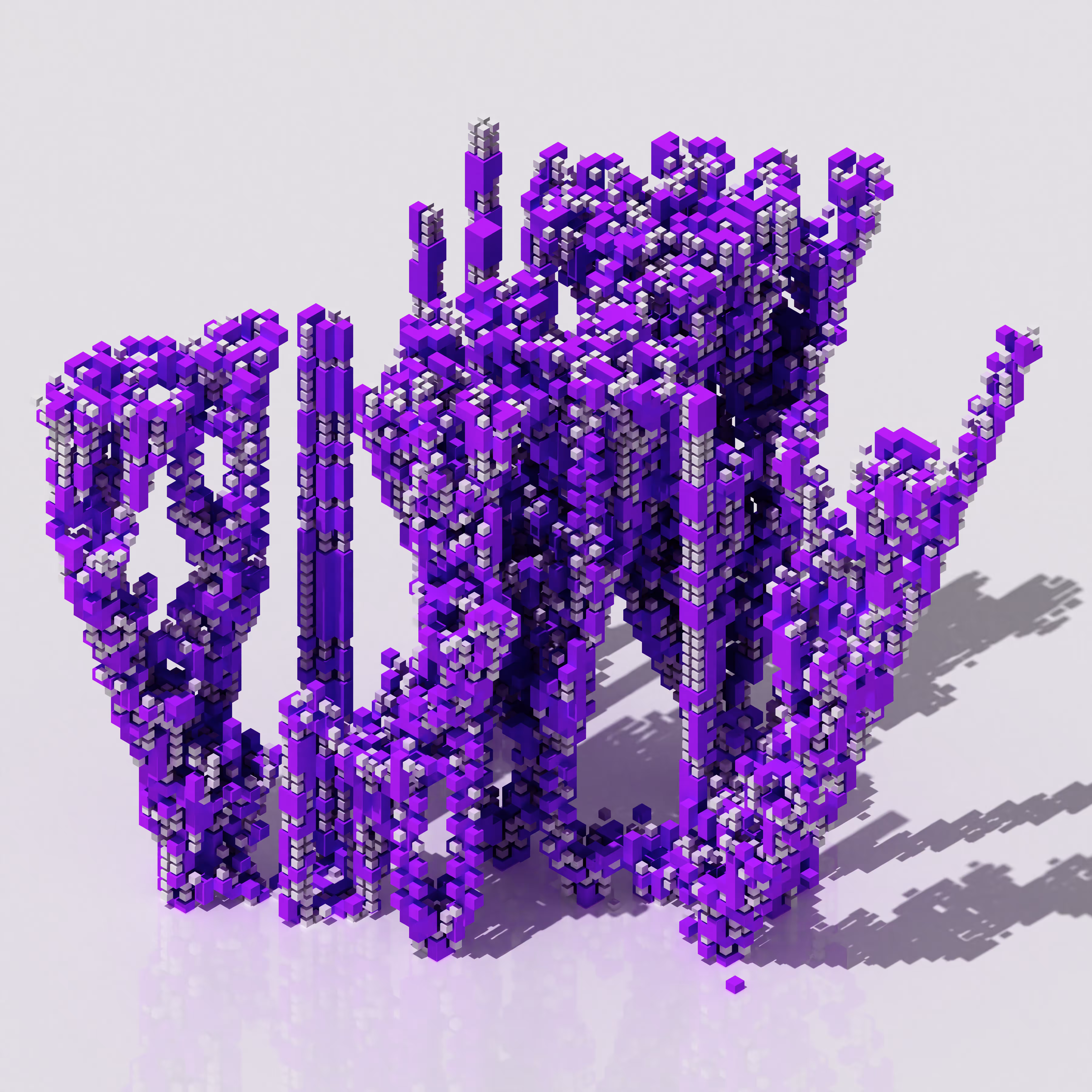 Reef