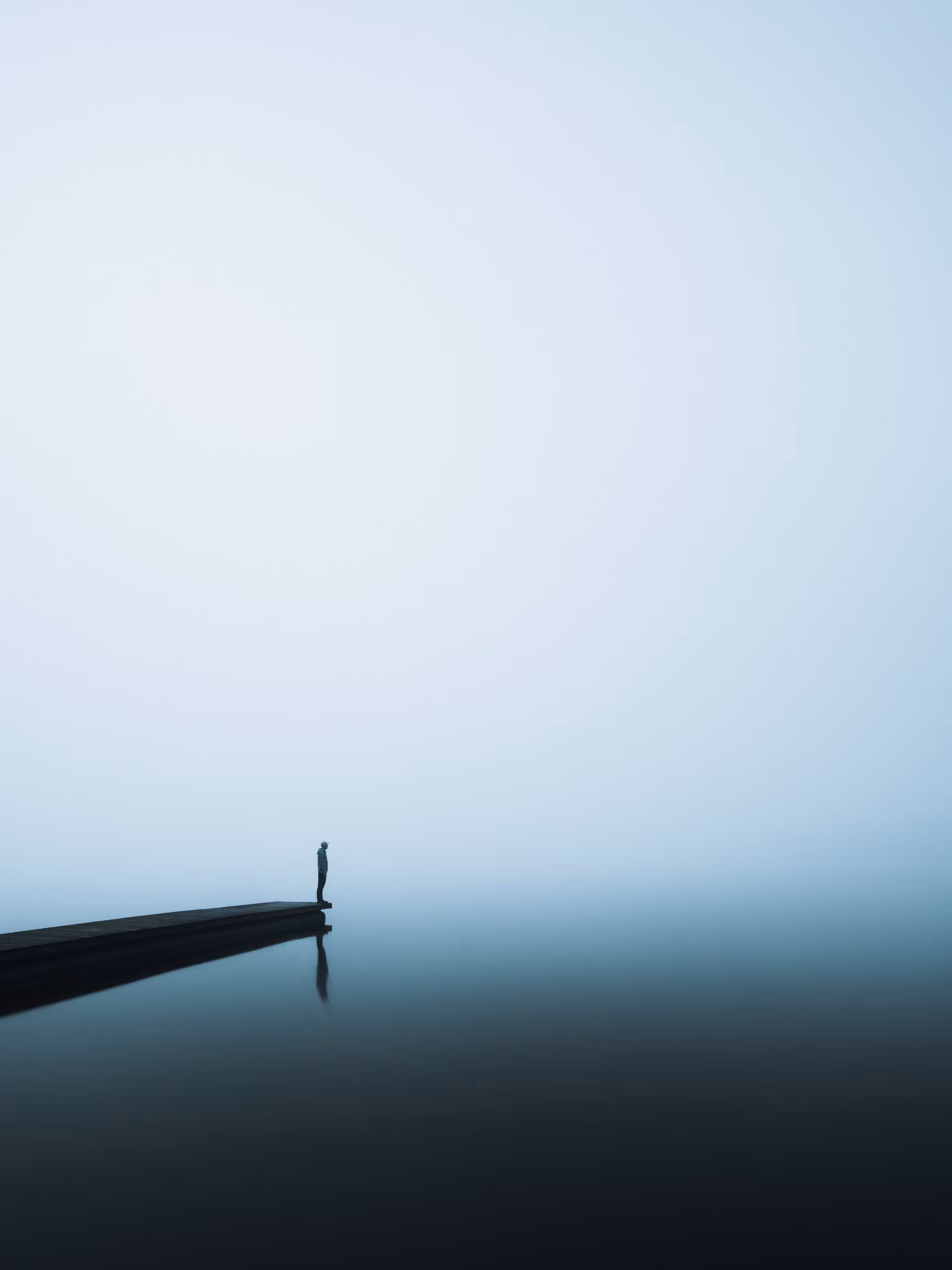 In The Solitude: Searching