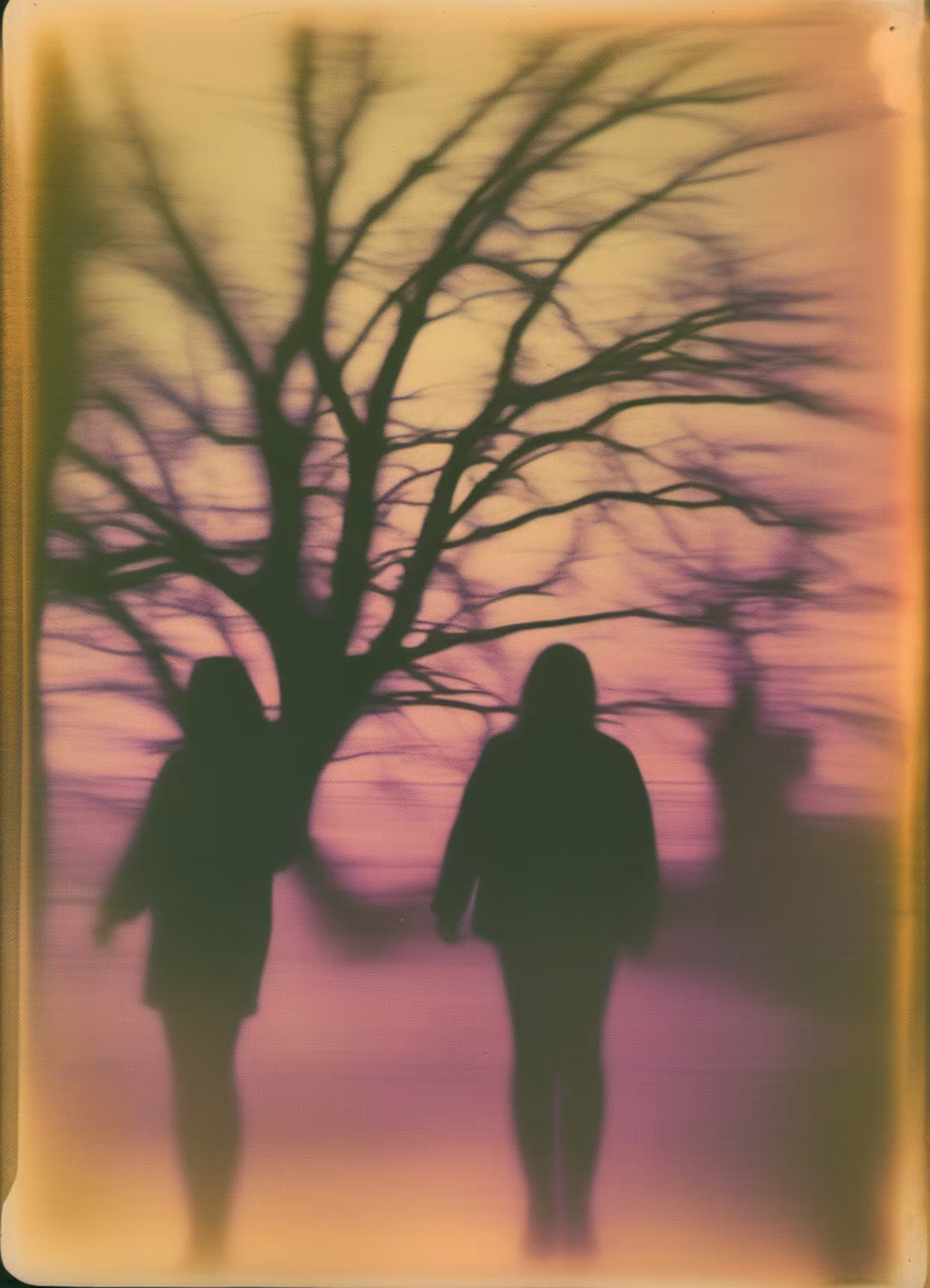 Summer Distortions #41