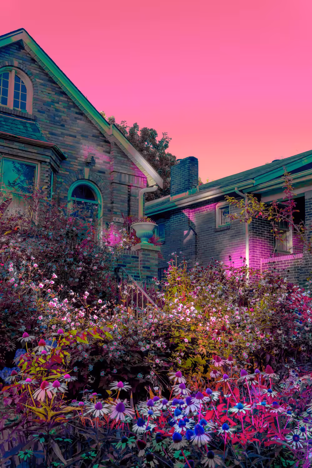 efflorescence