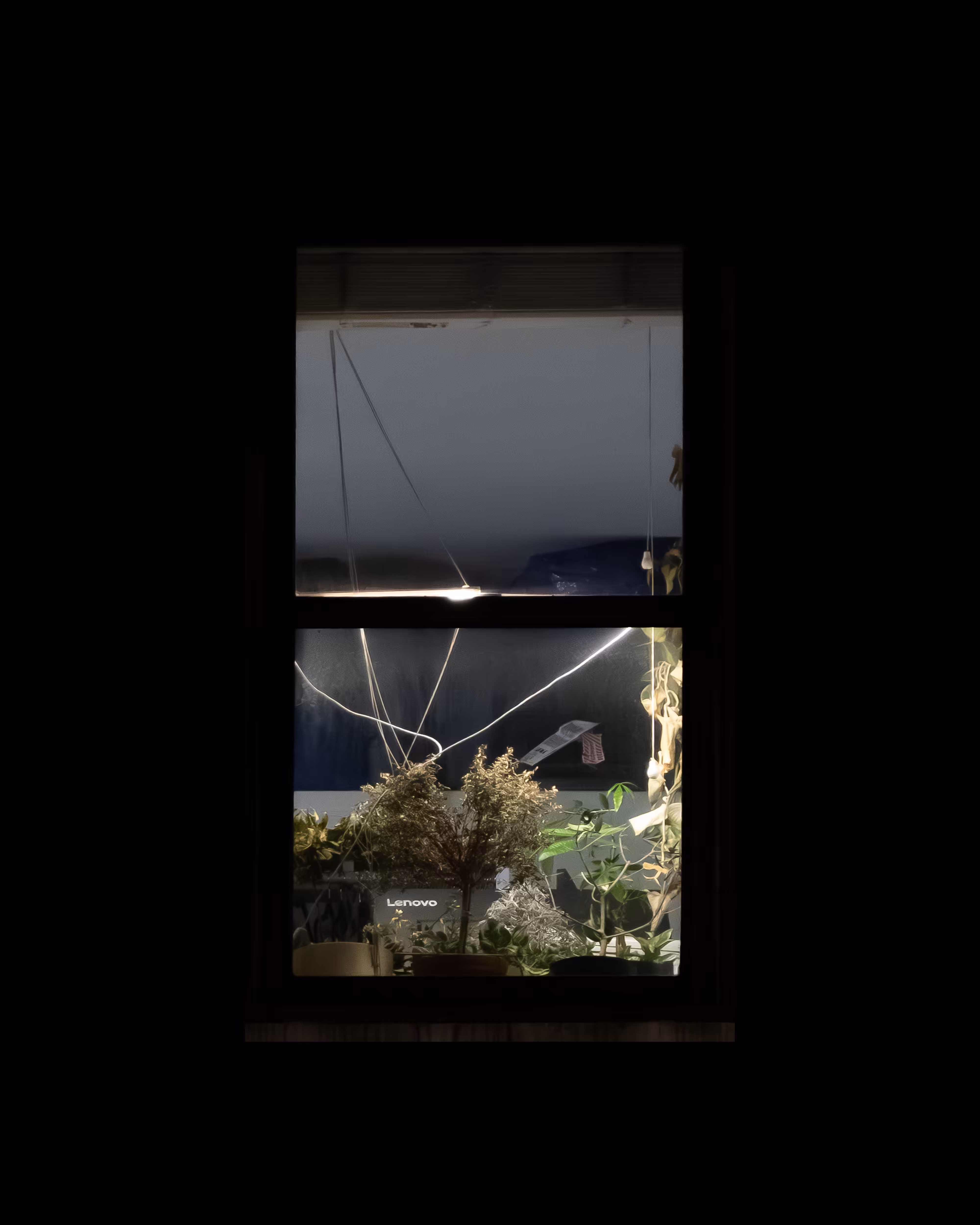 WINDOW 223