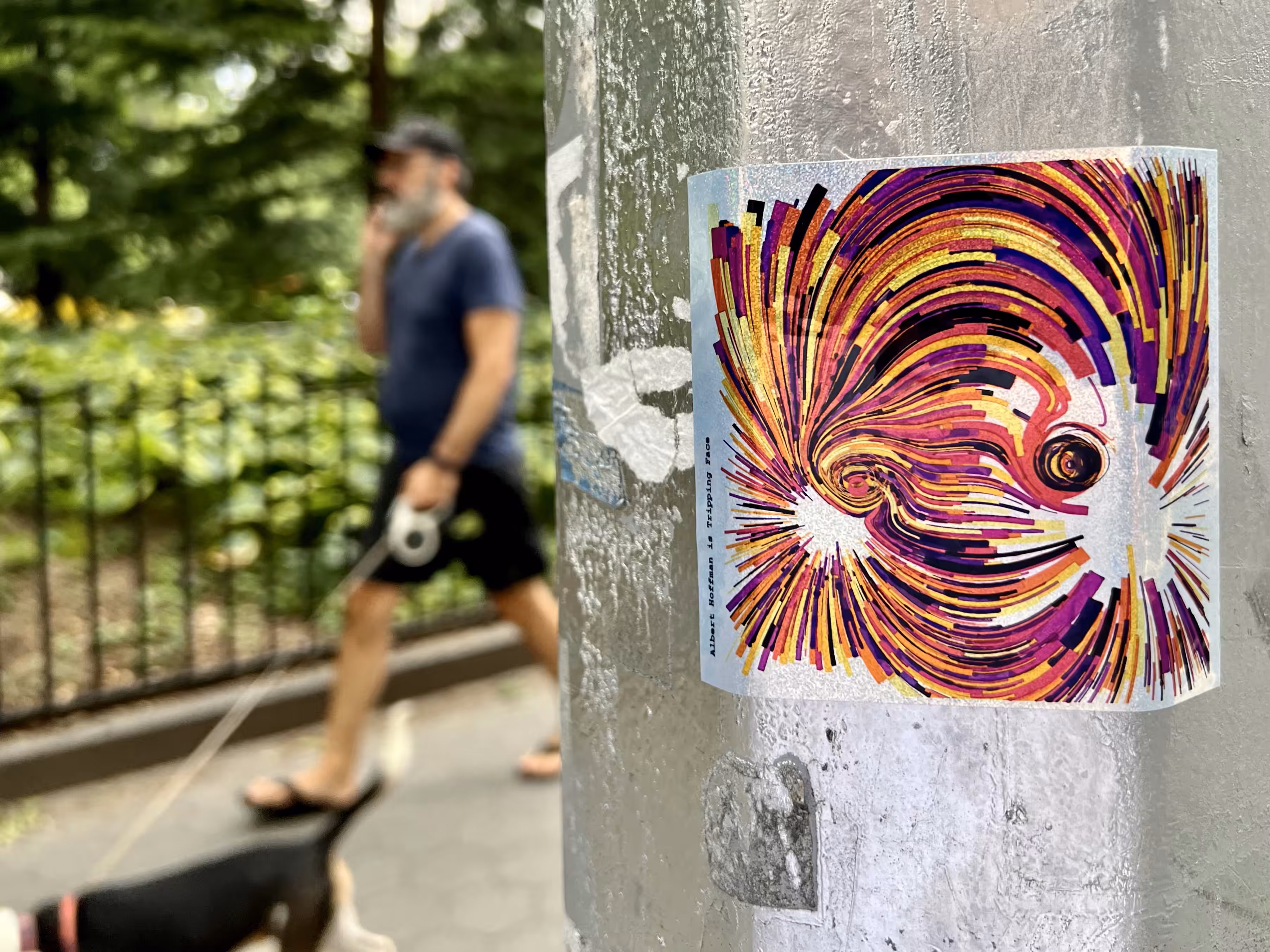 Jimmy in Washington Square: Albert in Washington Square