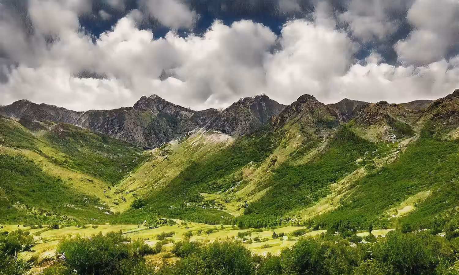 AI LANDSCAPE #1