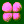 zygote, second division