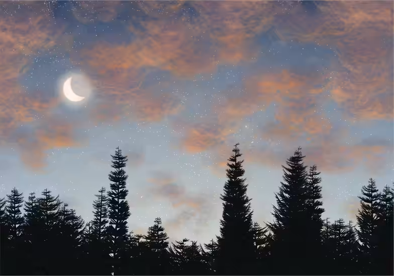 Skyscapes #42