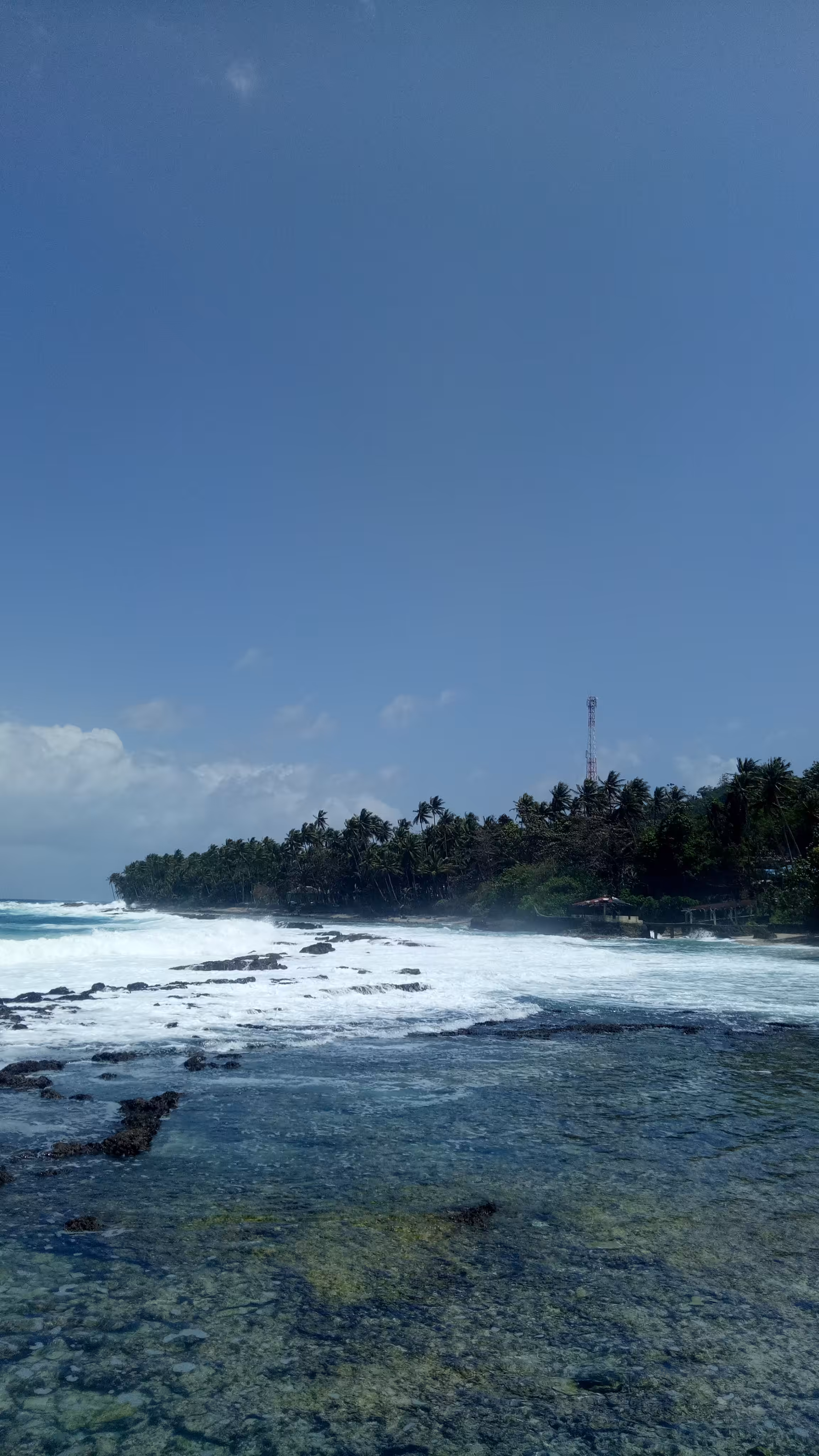 Blueast