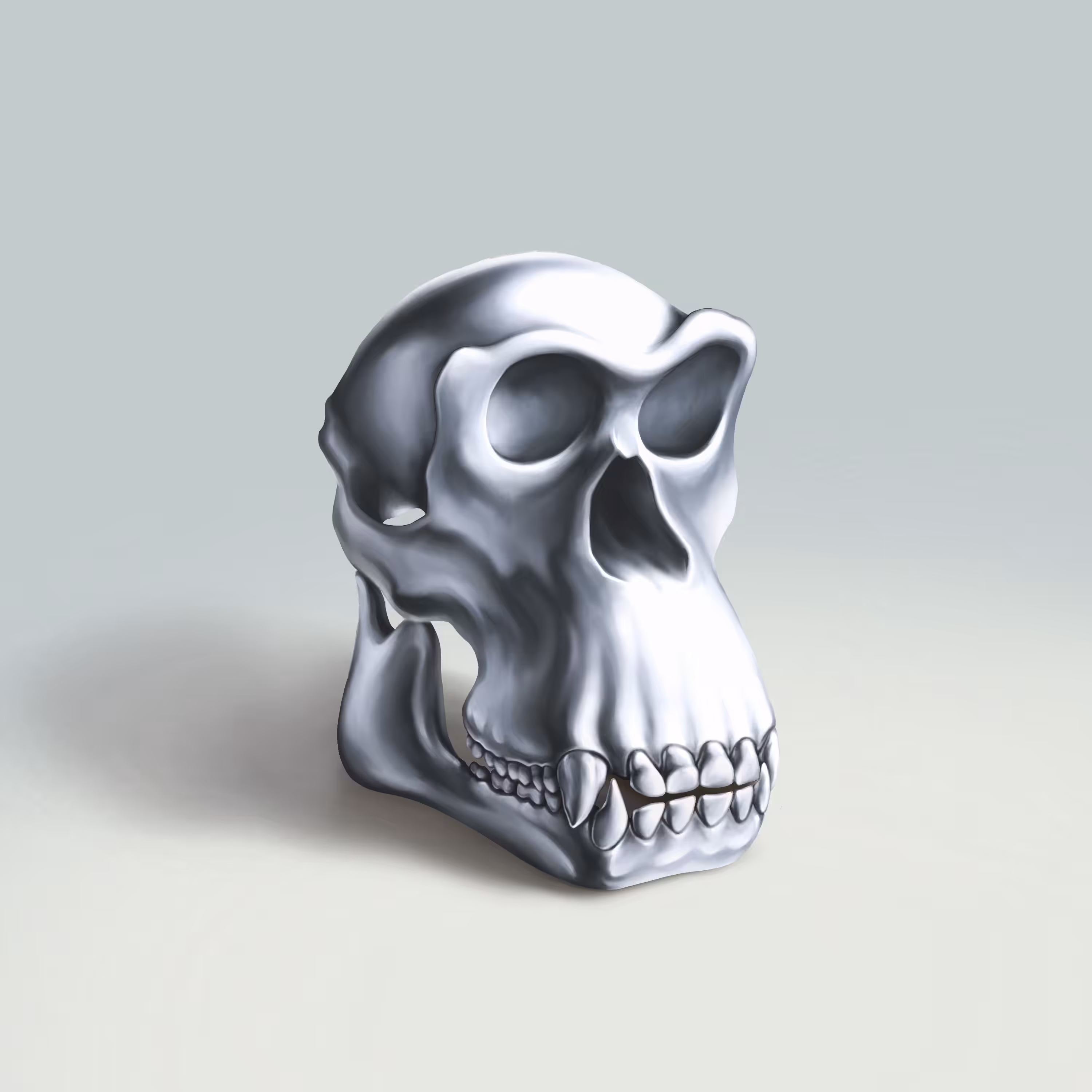 Silver 1/2