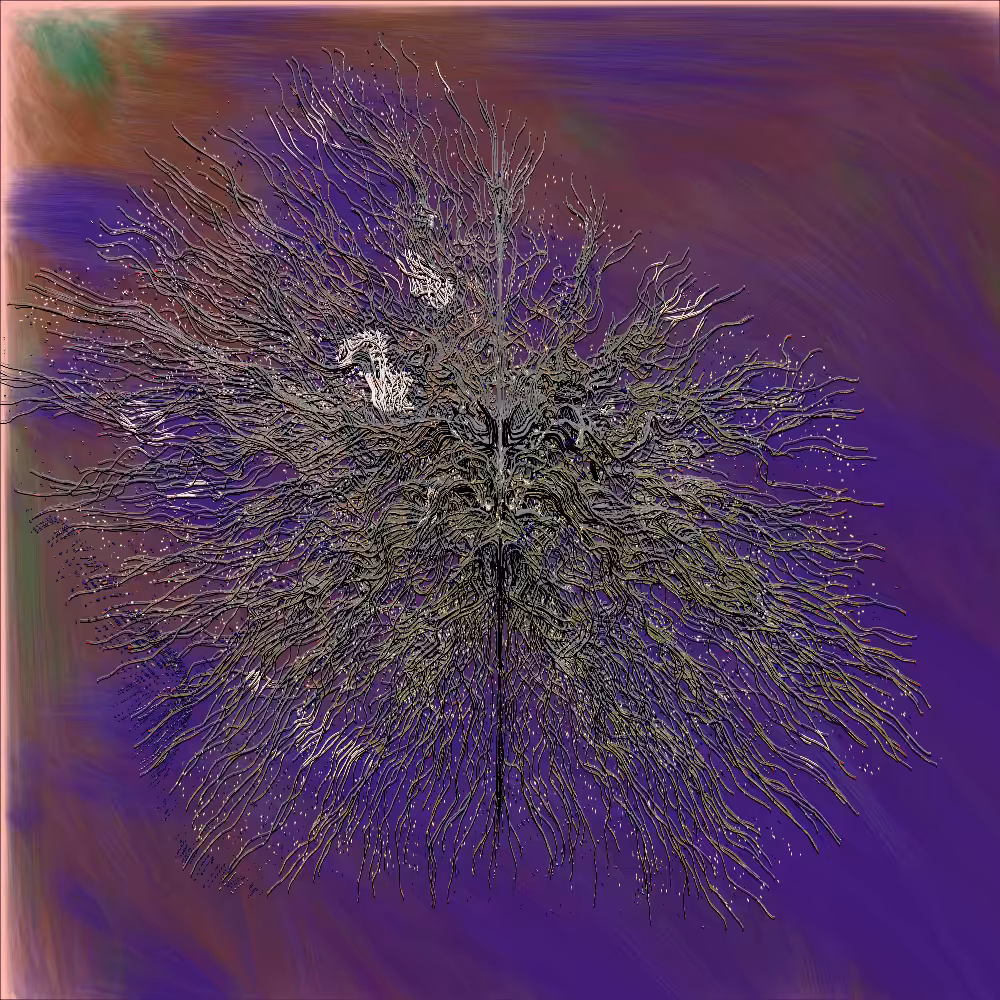 Feather Head #1