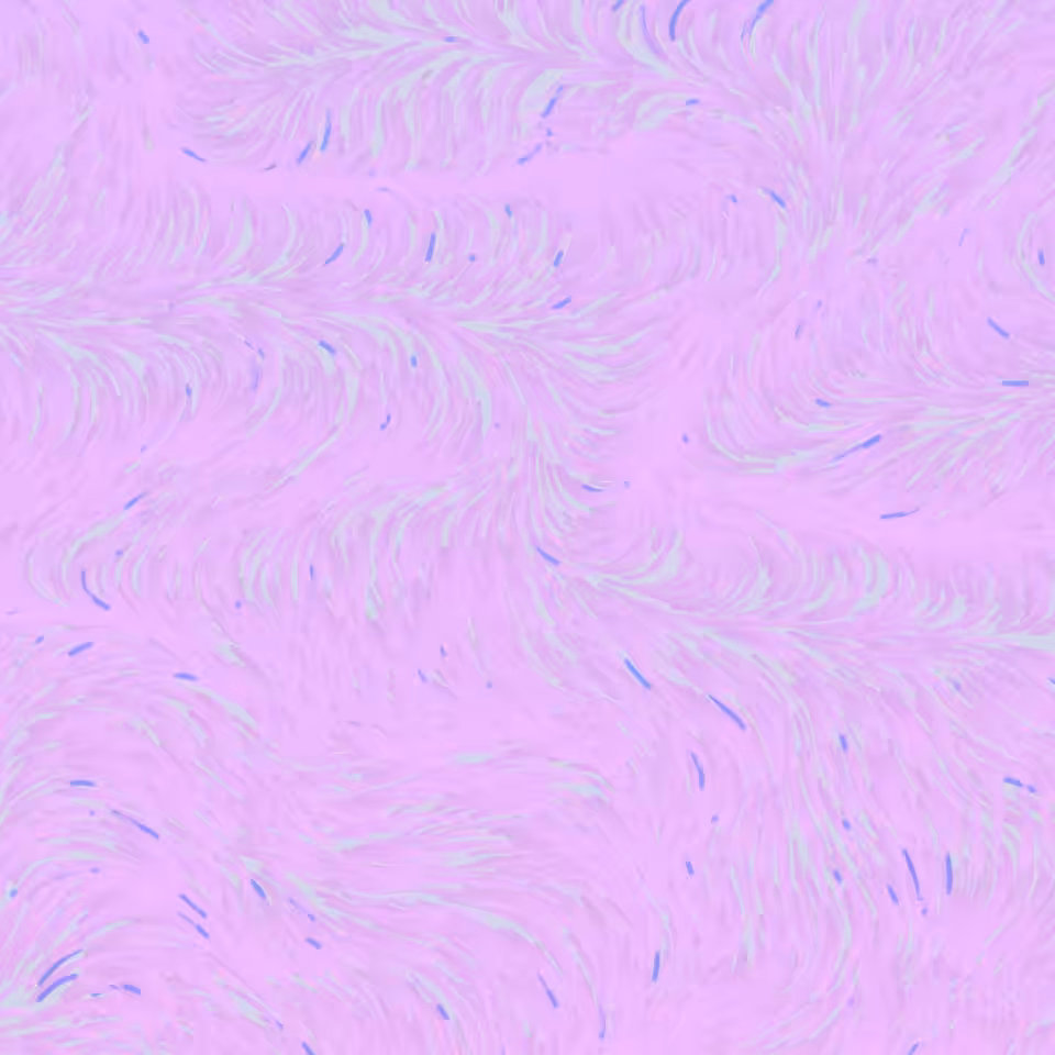 Foam