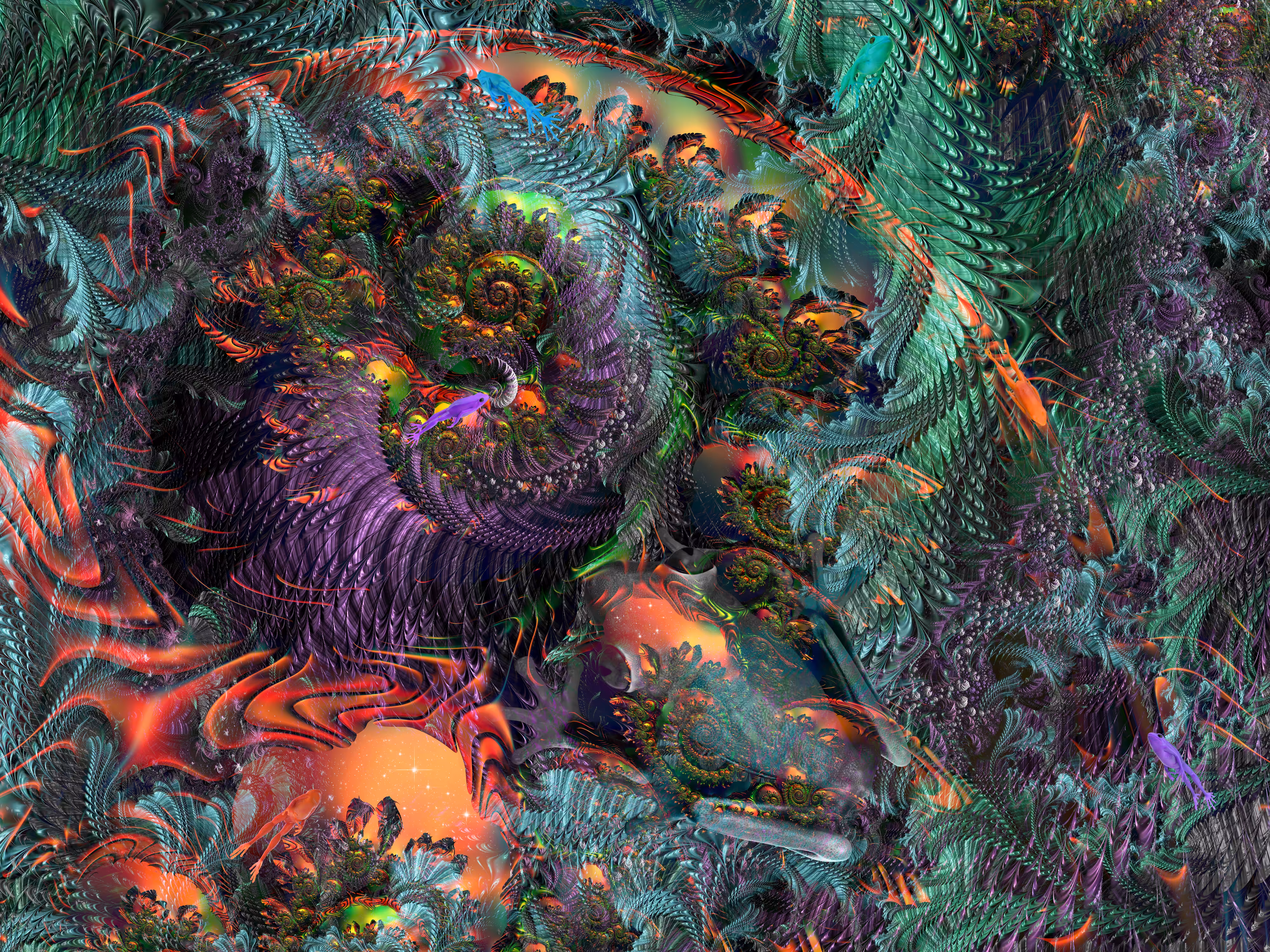 Pavo Cristatus