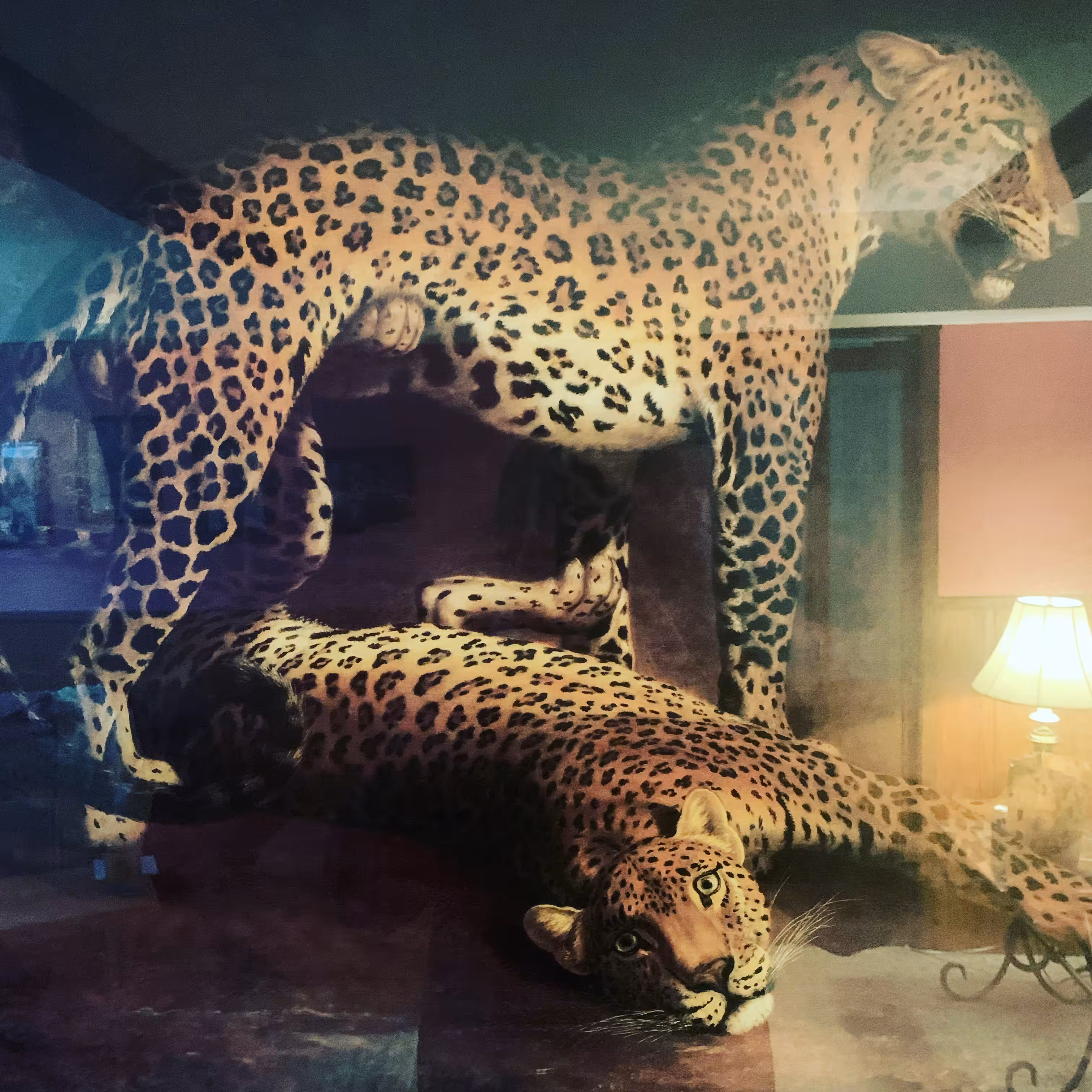 leopards at 4:48 am 