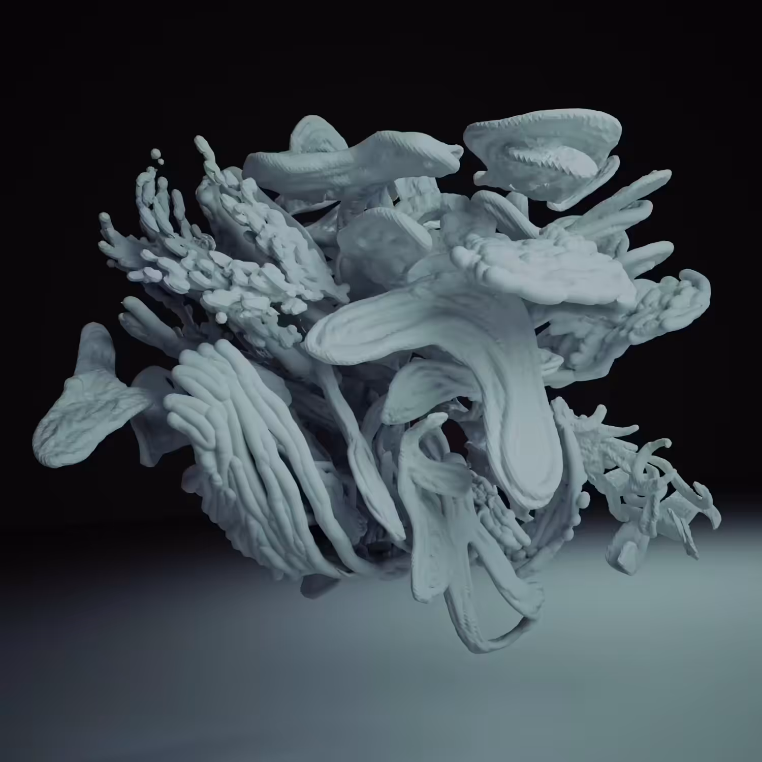 Veil 03