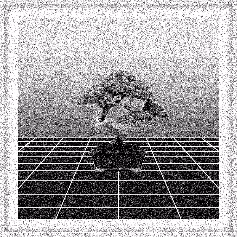 Bonsai Bonanza #663