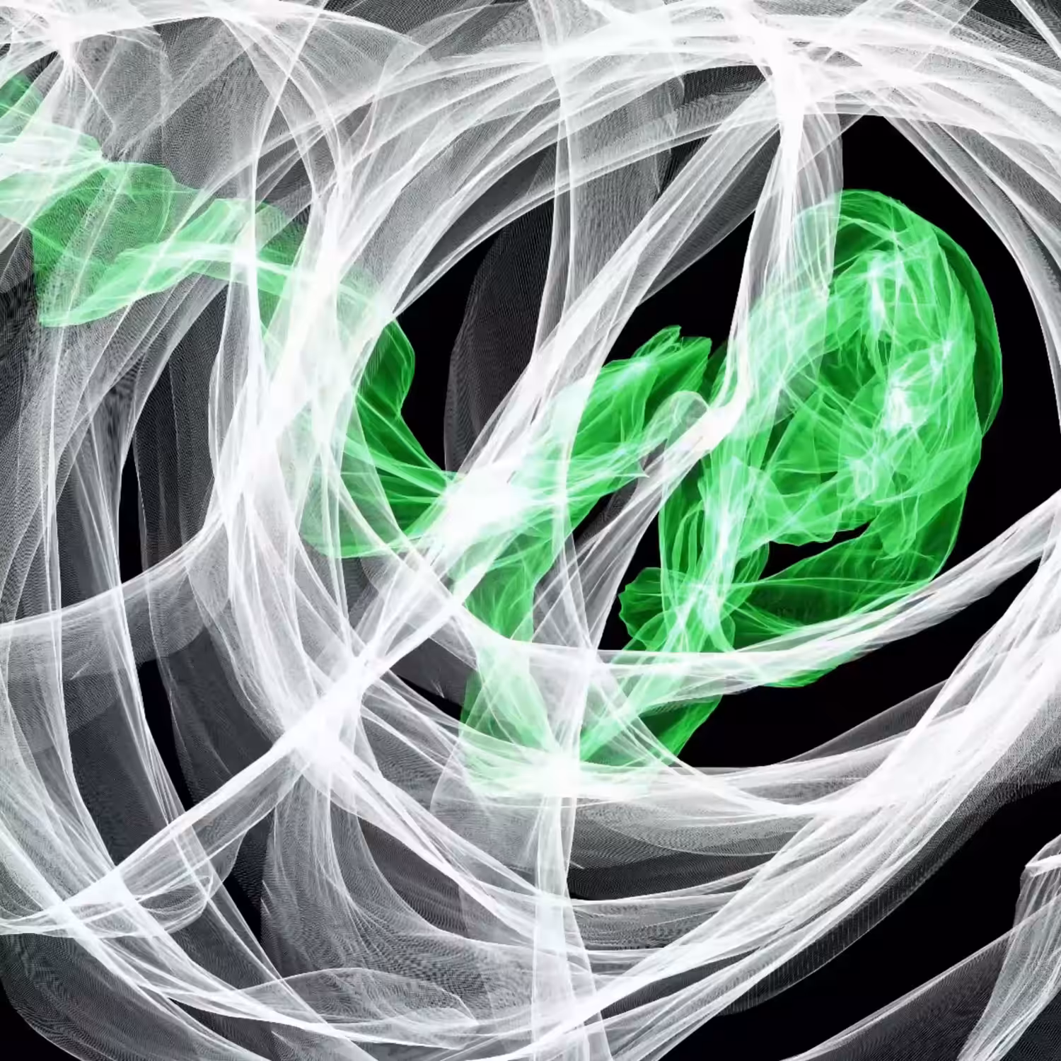 Ephemeral#2