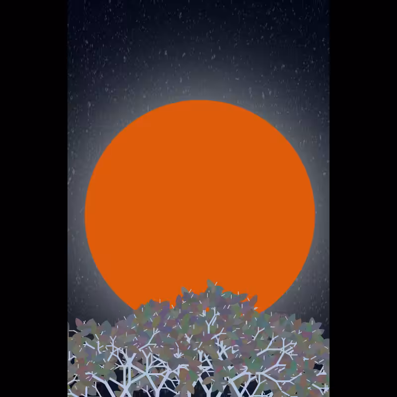 Moonlight Sonata #57