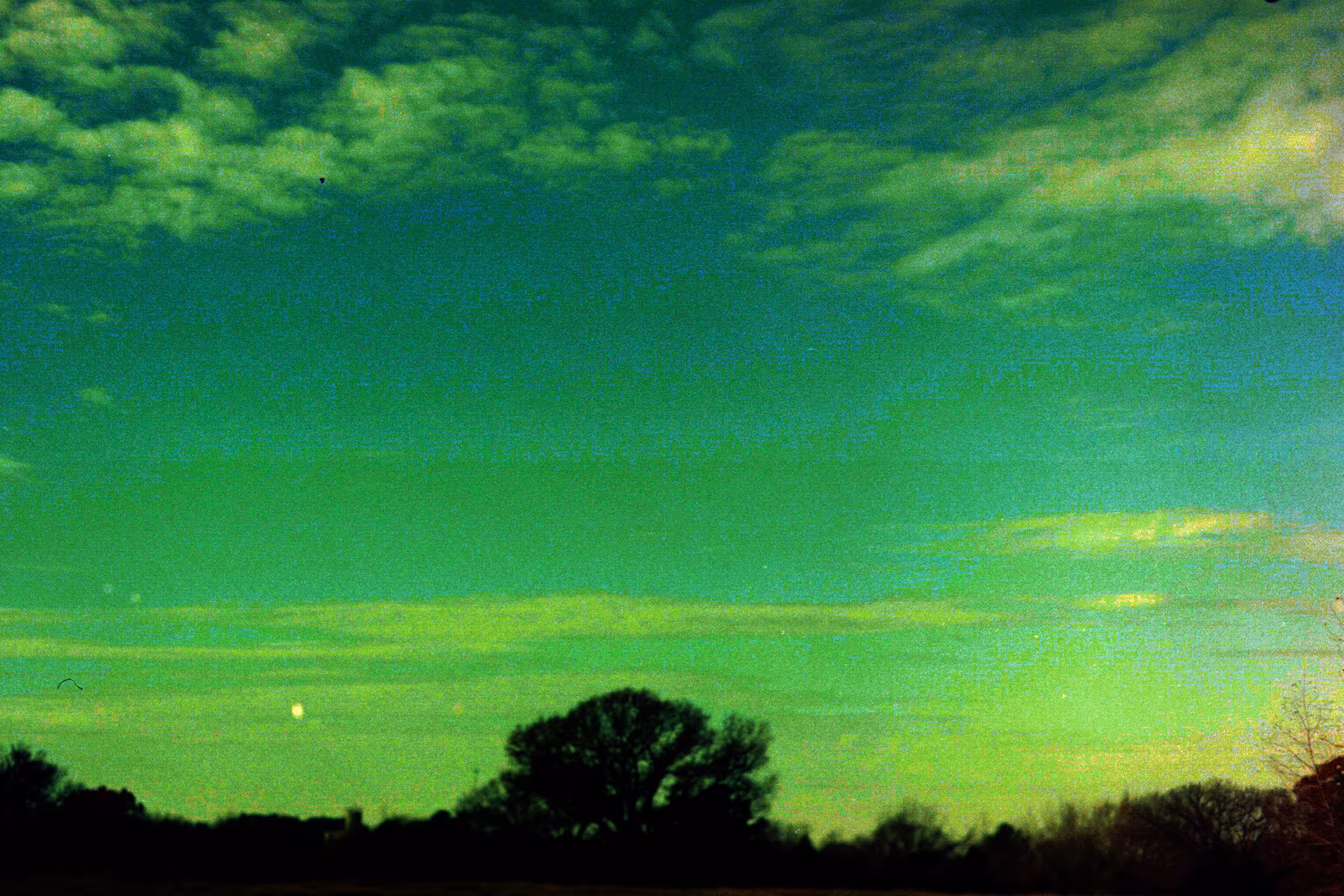 Emerald Sky