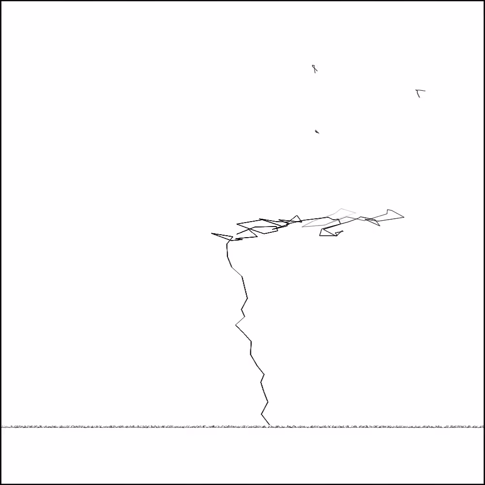 Sketches of a tree #4