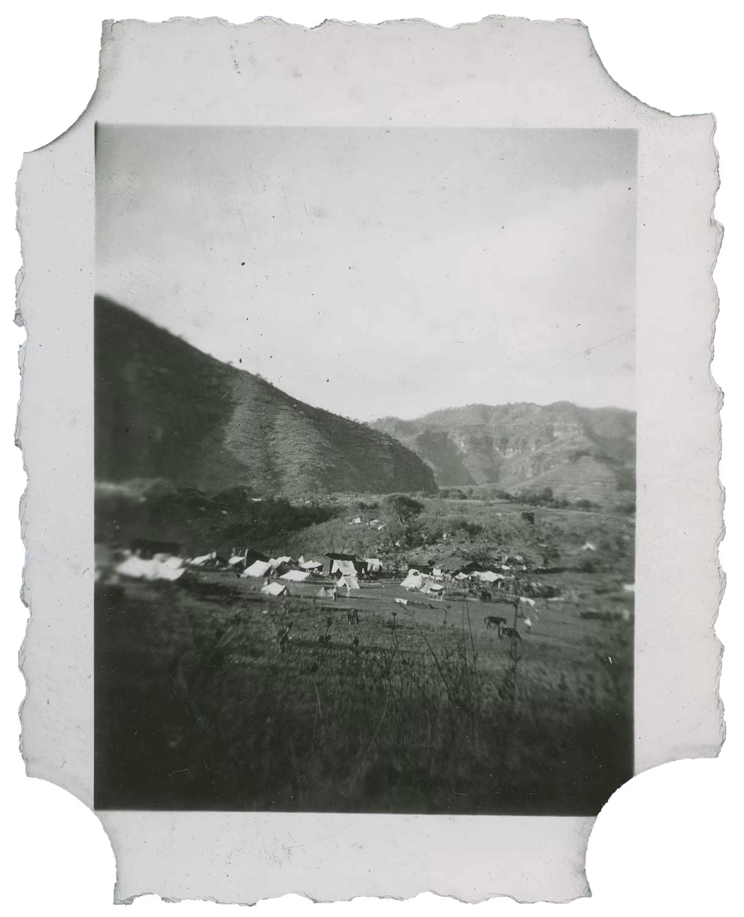 Landscapes #2