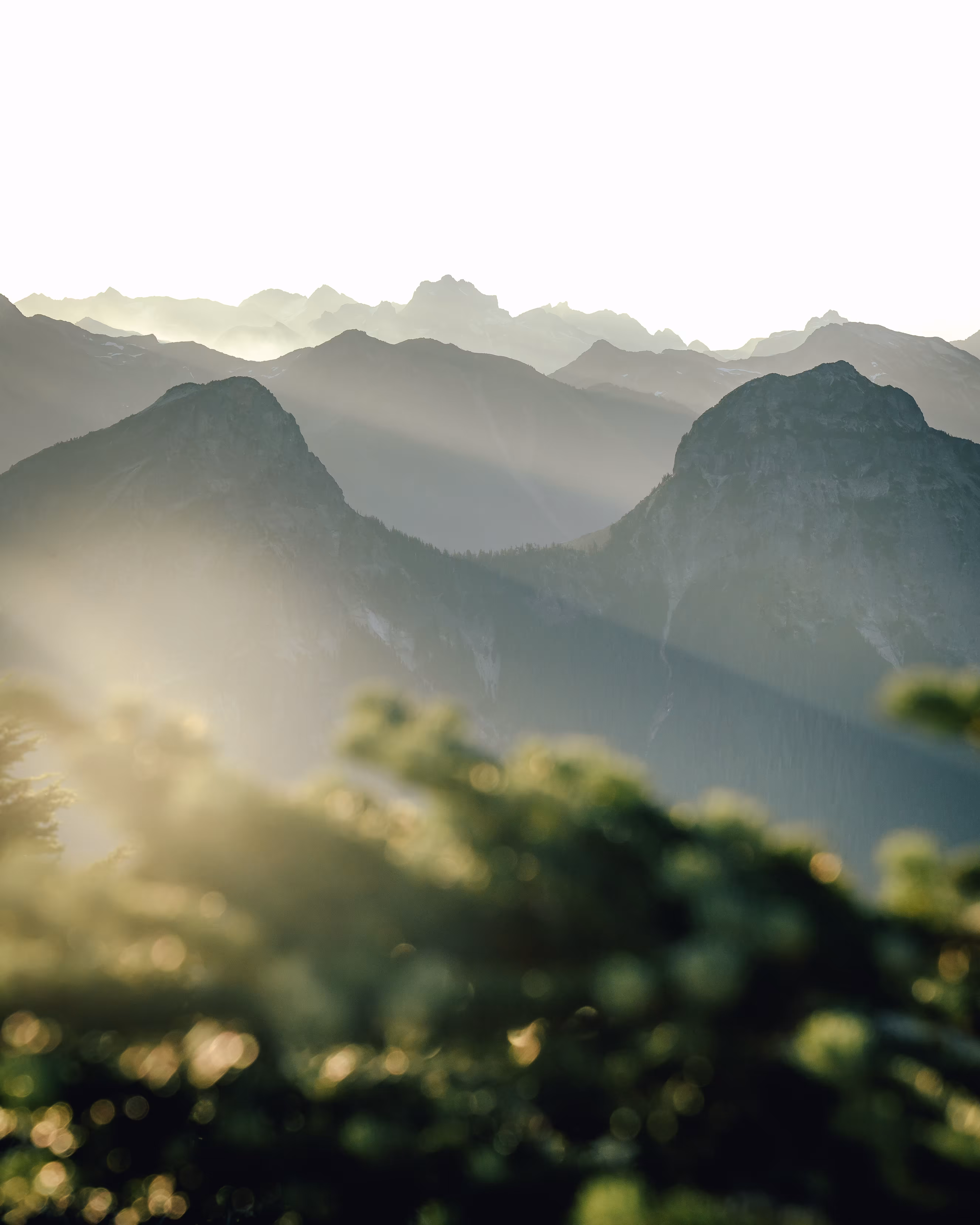 Hopeful Sunrays