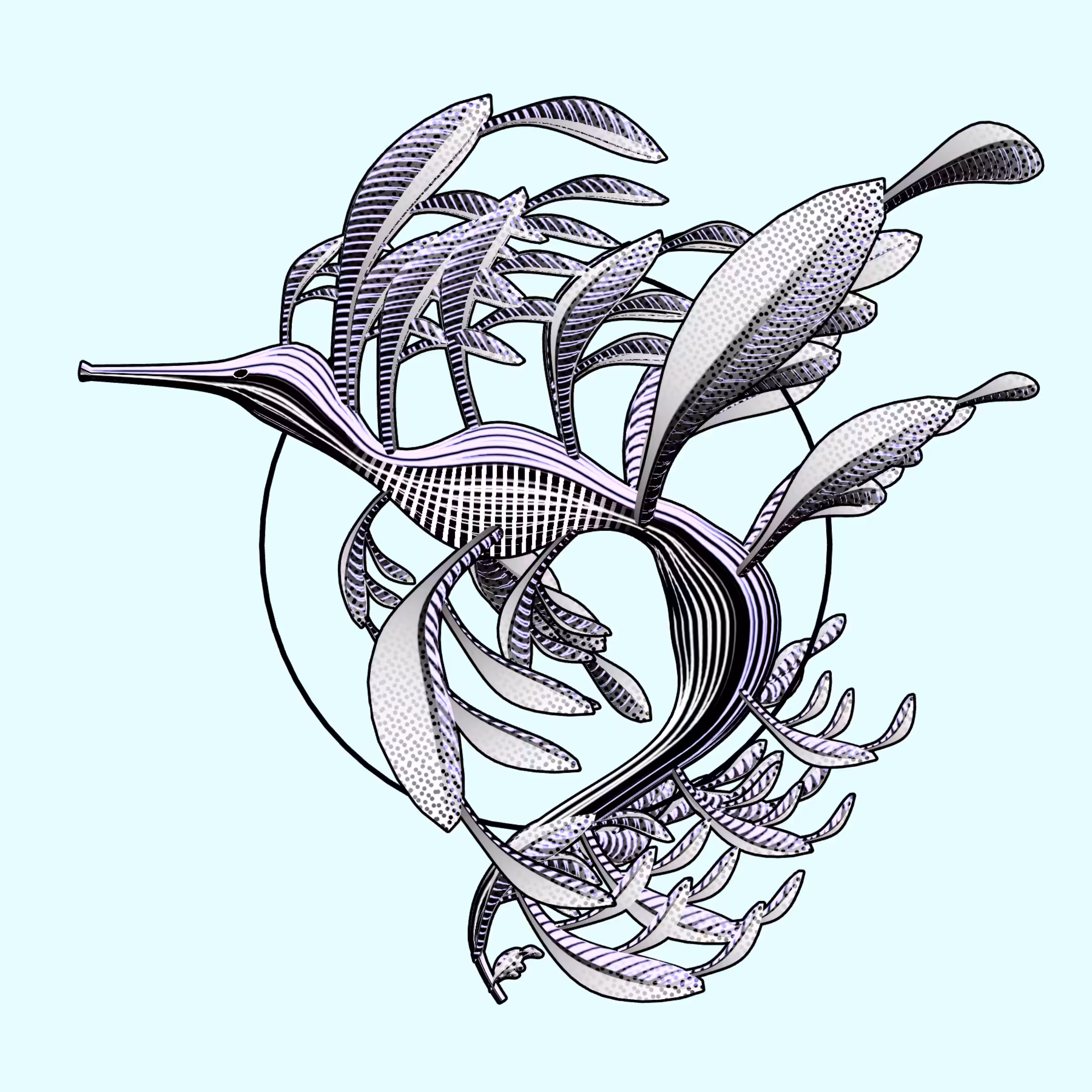 Seadragons #553