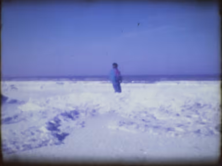 TheDayTheSeaFroze