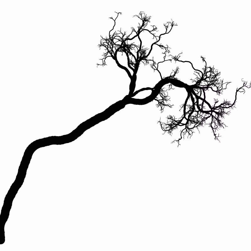 Tree 01