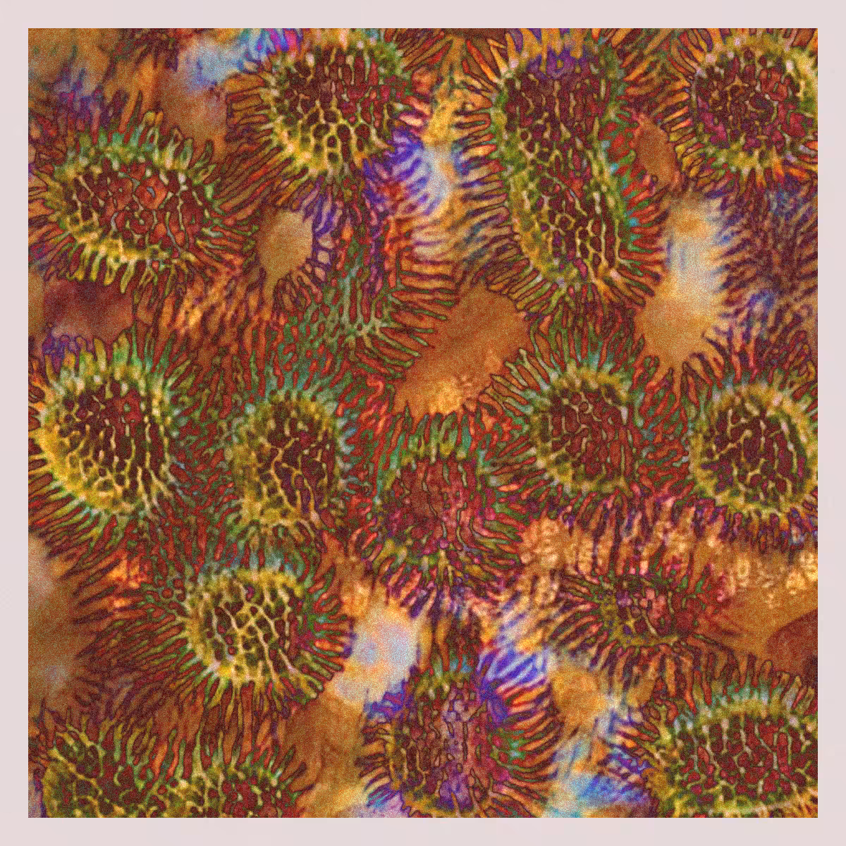 orGANics #15
