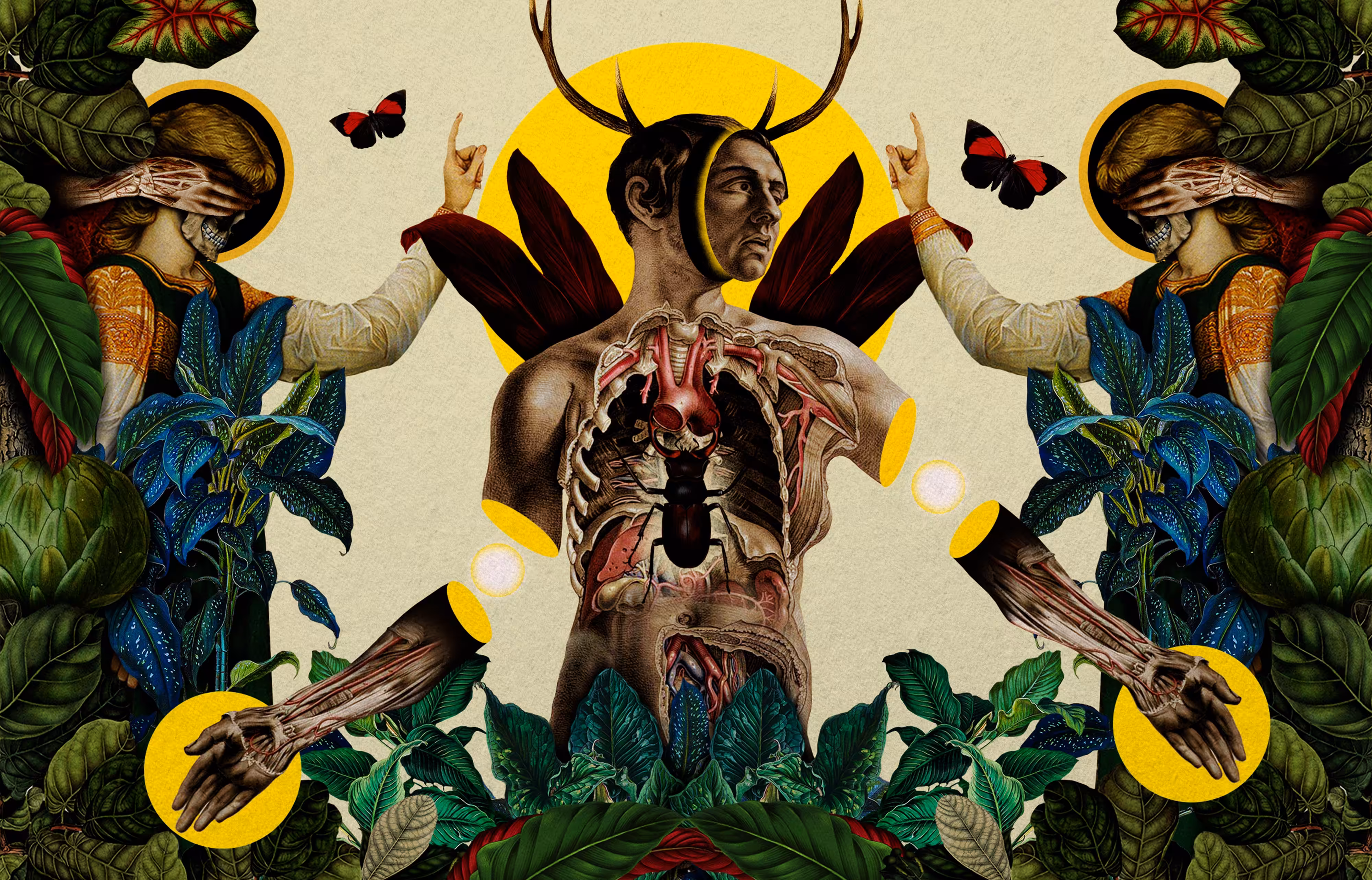 Metamorphoses