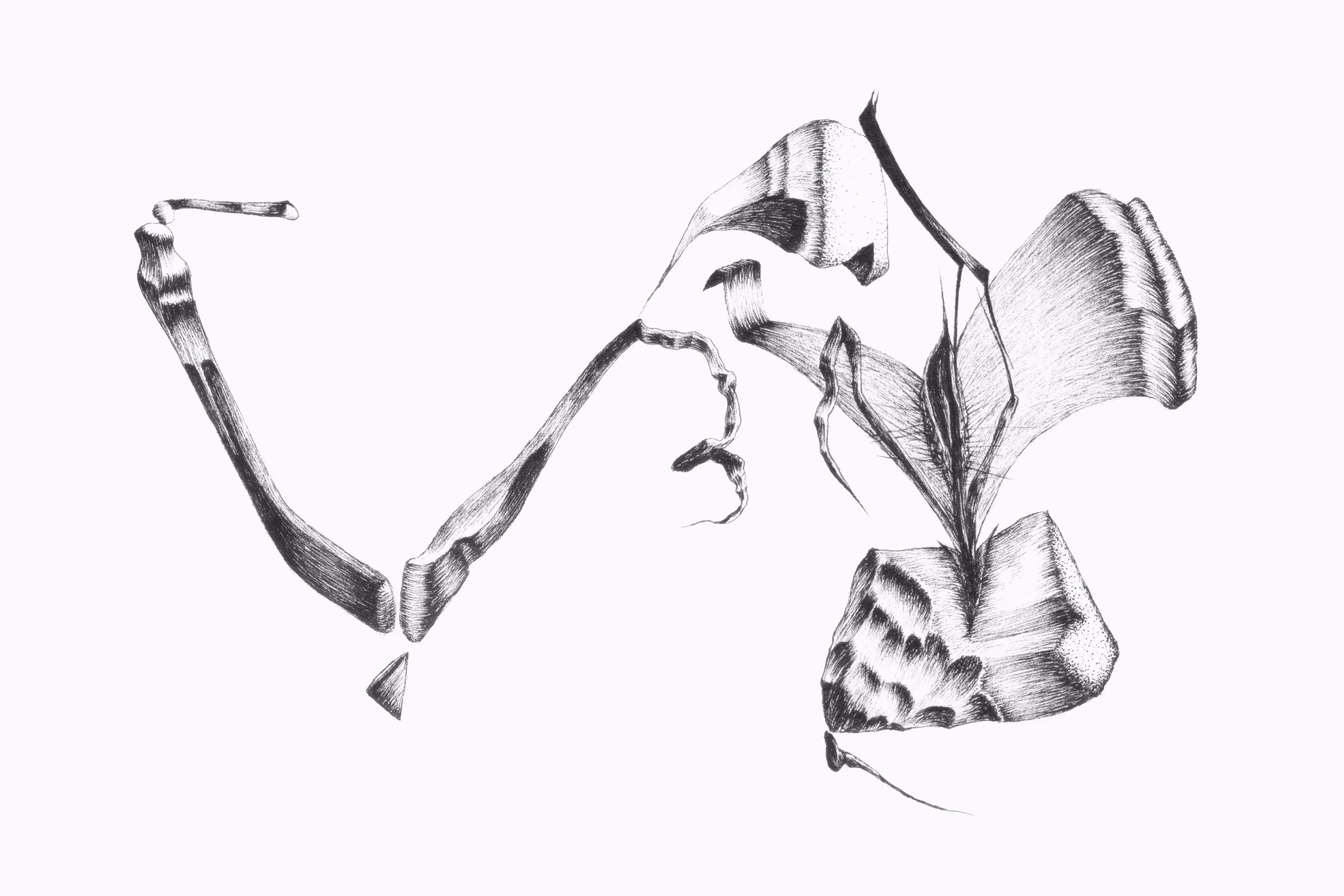 The Nail