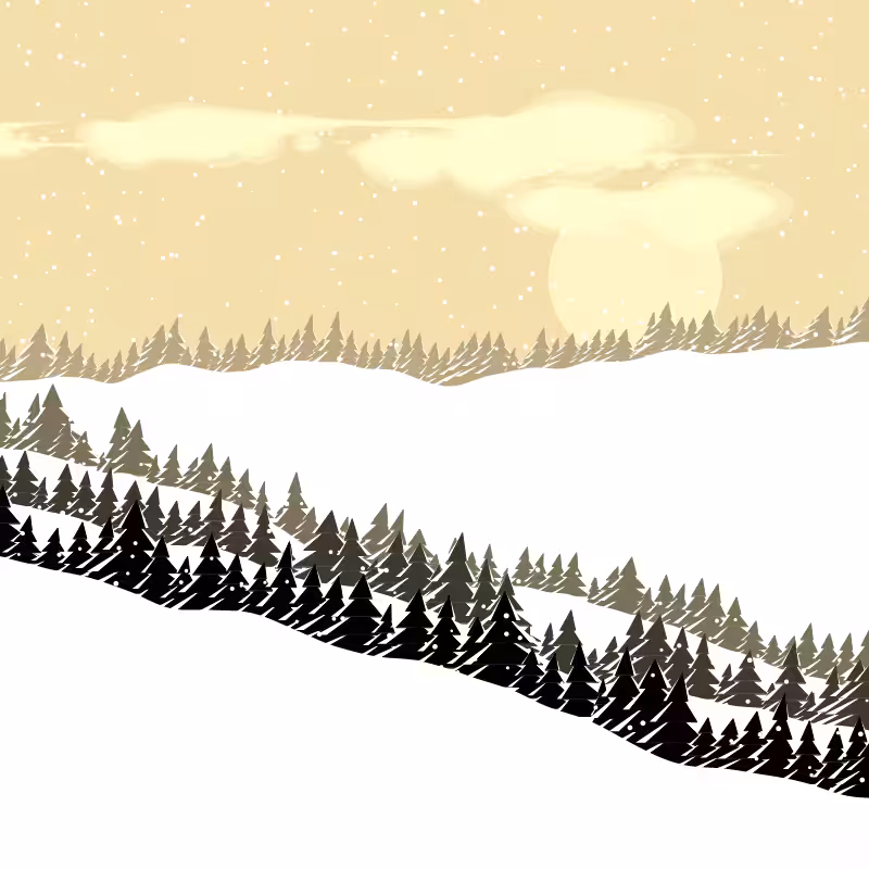 Winterland #224